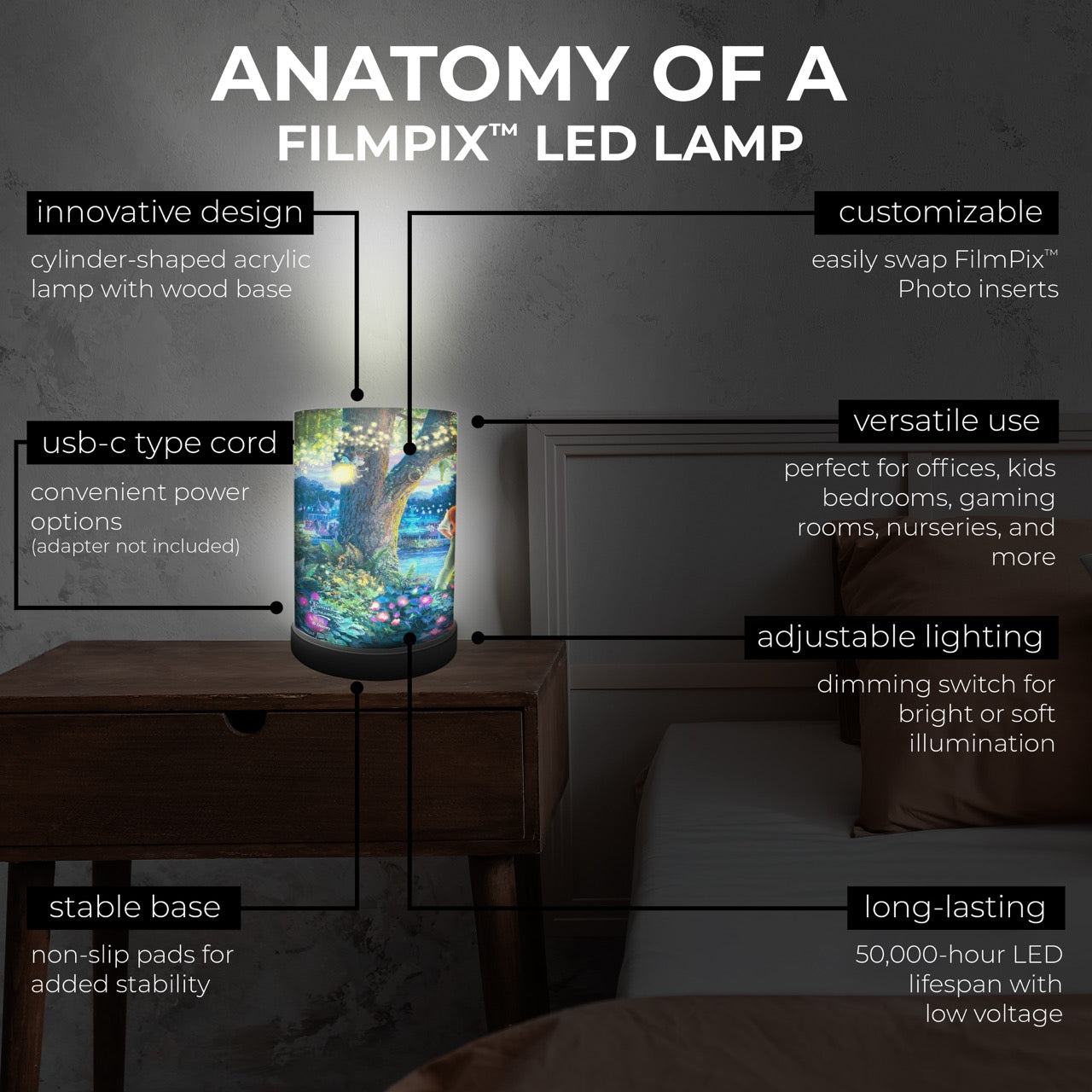 Disney (The Princess and the Frog) FilmPix™ Photo Insert P1808H188