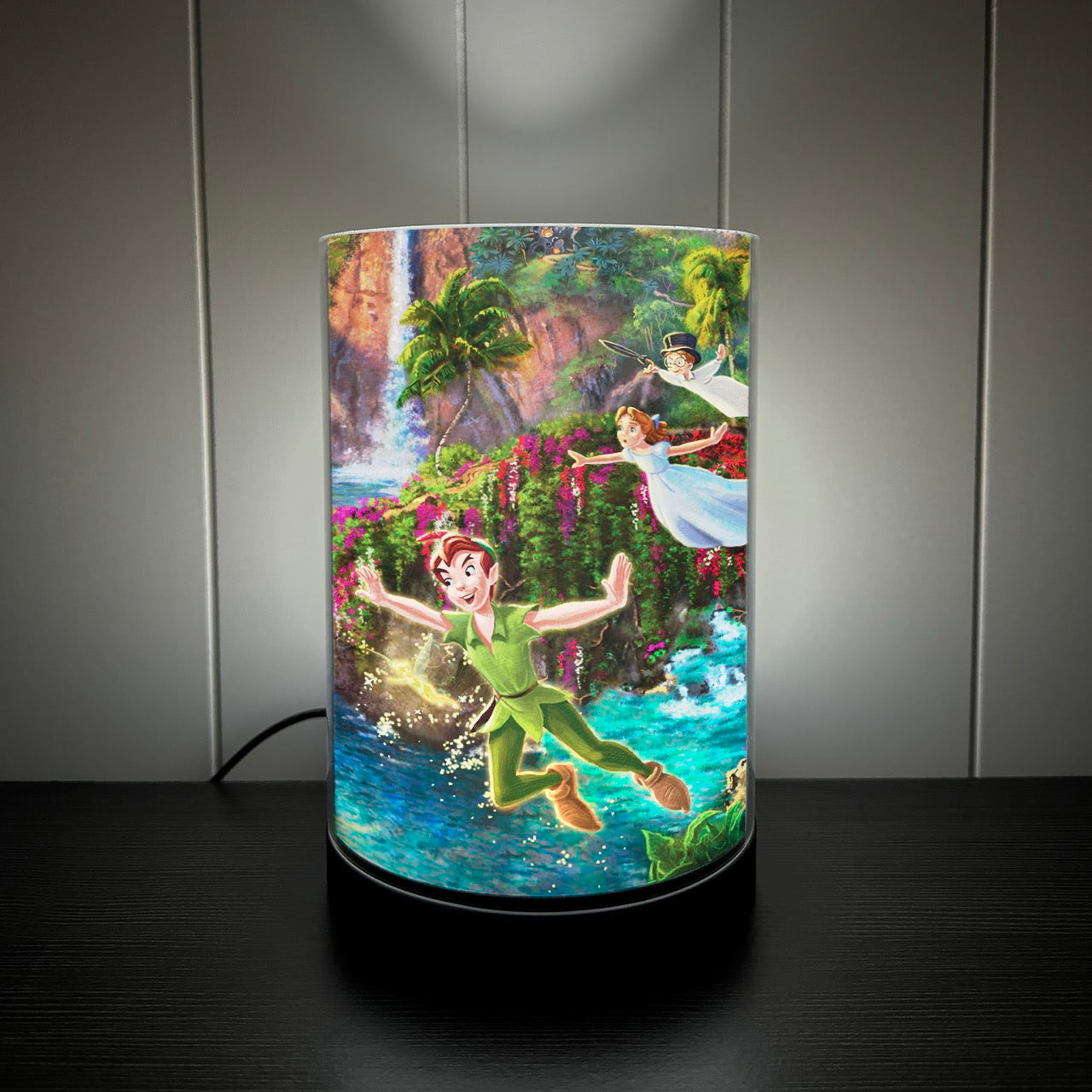 Disney (Peter Pan's Never Land) FilmPix™ Photo Insert P1808H189