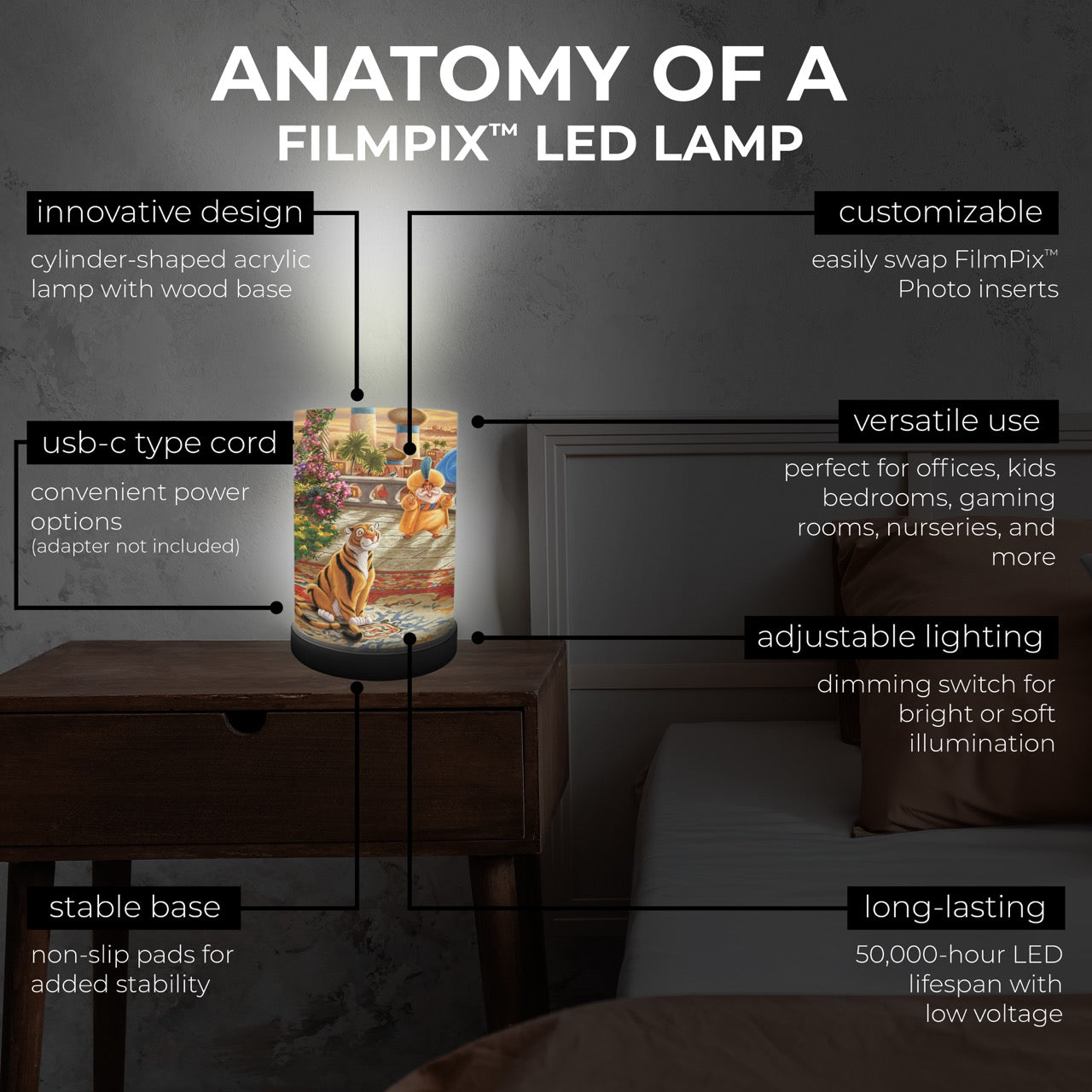 Disney (Aladdin & Jasmine Dancing in the Desert Sunset) FilmPix™ Photo Insert P1808H190