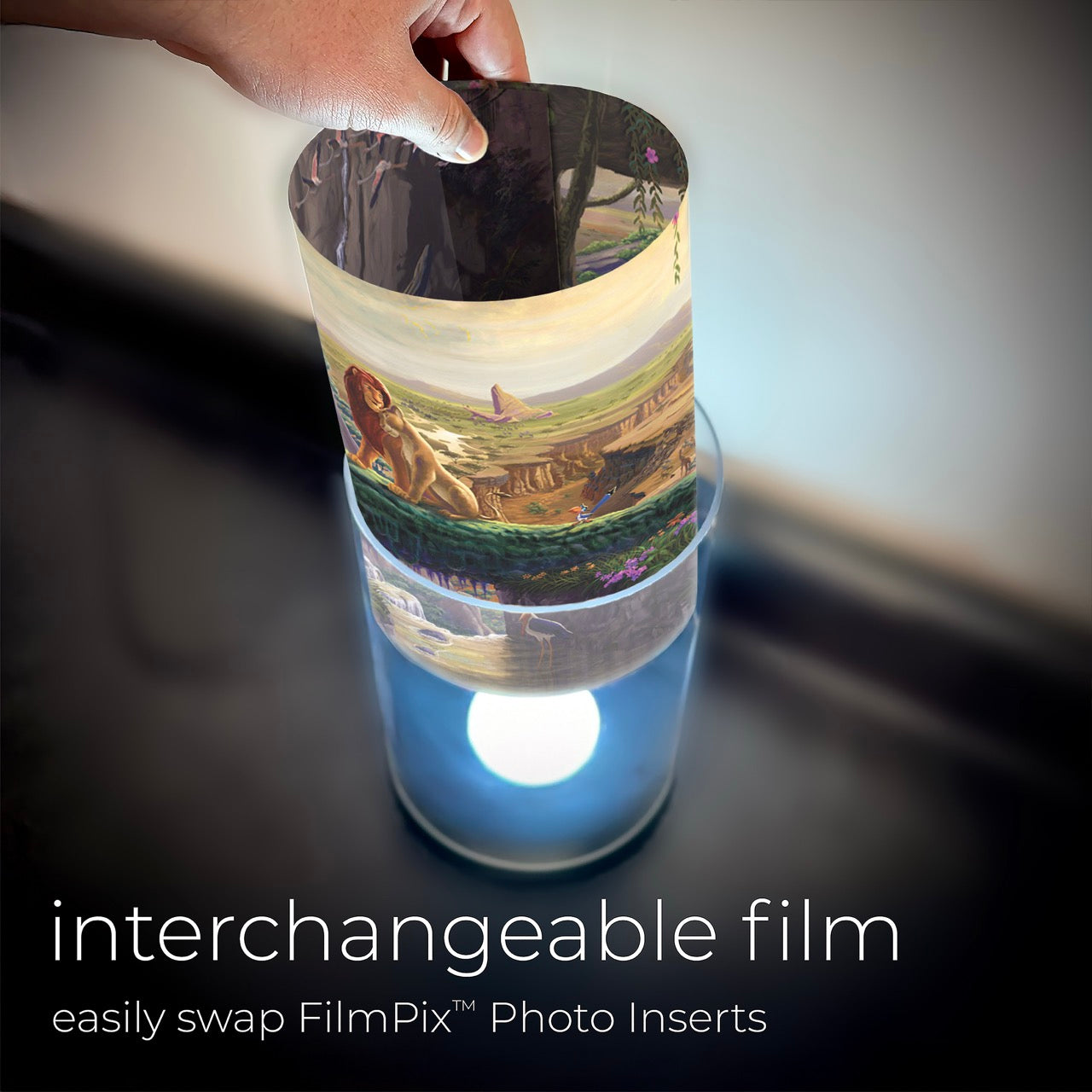 Disney (Lion King Return to Pride Rock) FilmPix™ Photo Insert P1808H191