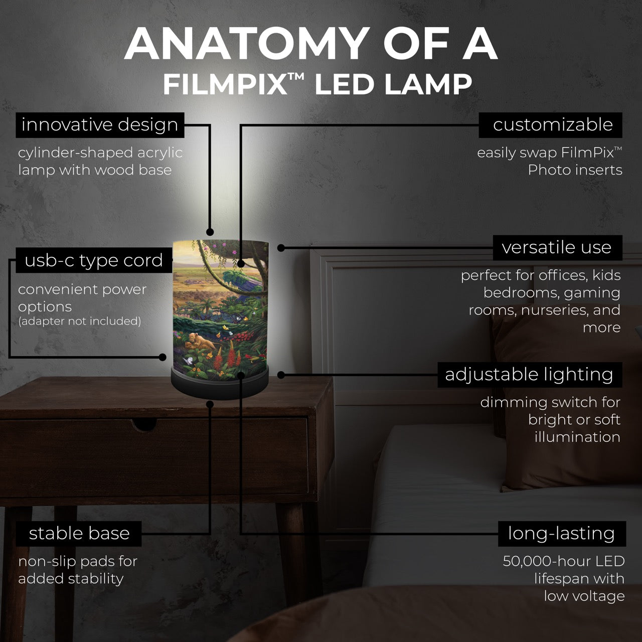 Disney (Lion King Return to Pride Rock) FilmPix™ Photo Insert P1808H191