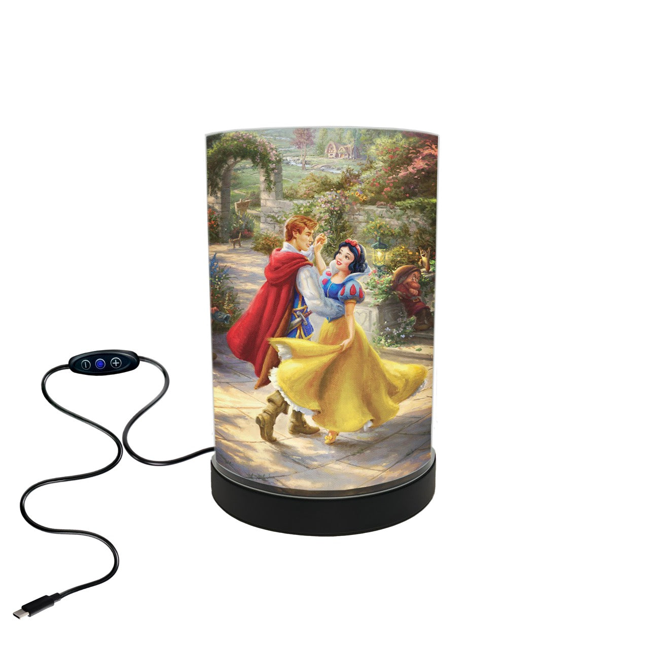 Disney (Snow White Dancing in the Sunlight) FilmPix™ Photo Insert P1808H193