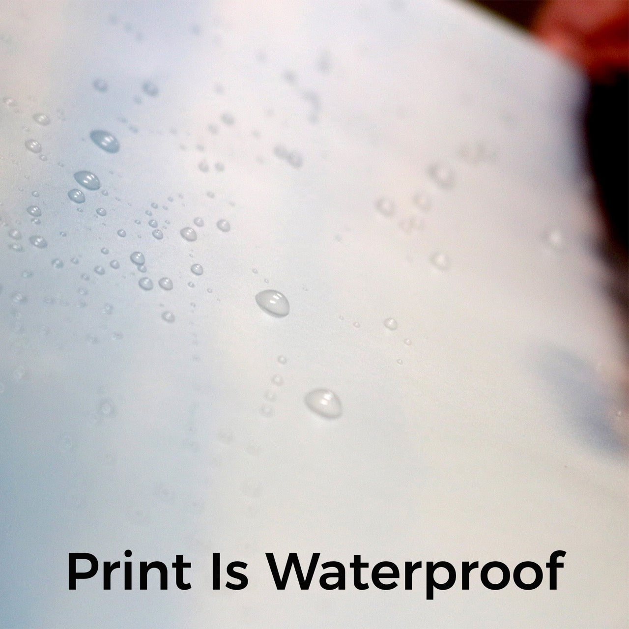 10" x 7" Lightpix™ Everlasting Photo Print Insert + Curved Acrylic Interchangeable Tabletop Frame PF1007HH