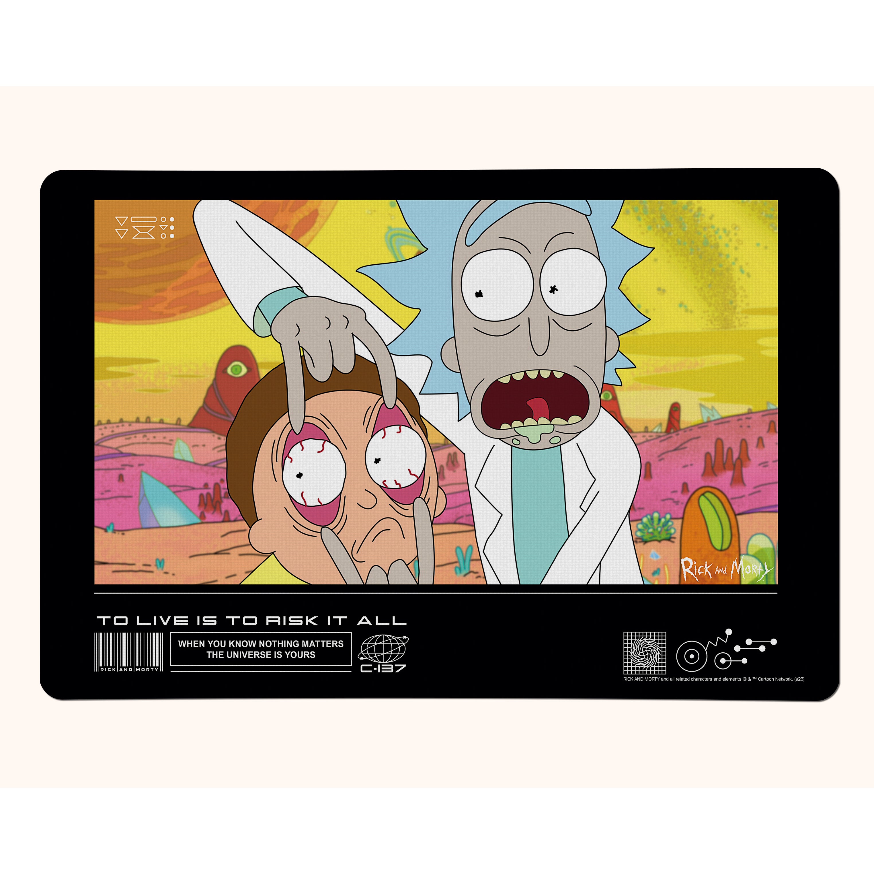 Rick and Morty (C137) Desk Mat PLM1610024