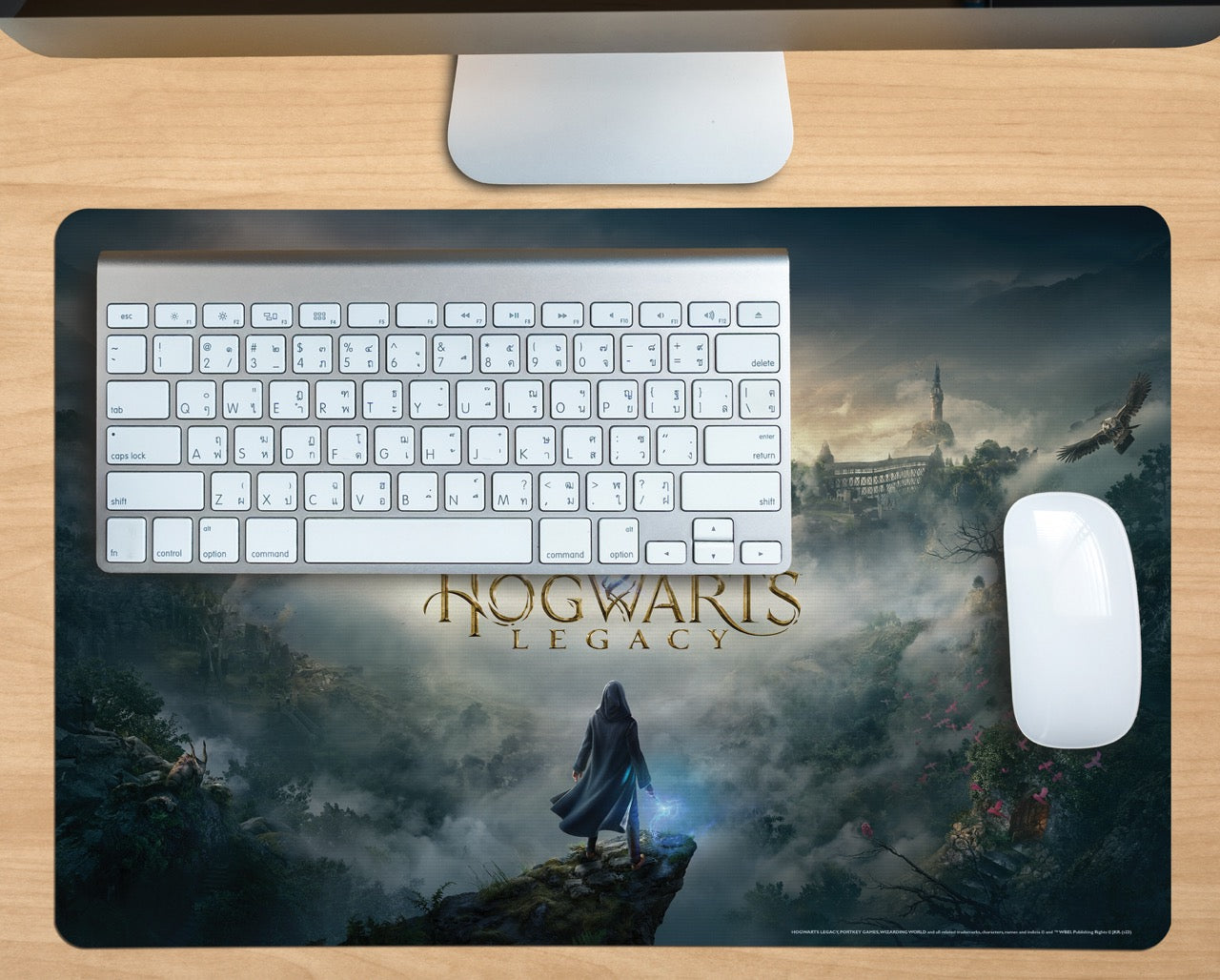 Harry Potter (Hogwarts Legacy) Desk Mat PLM1610031