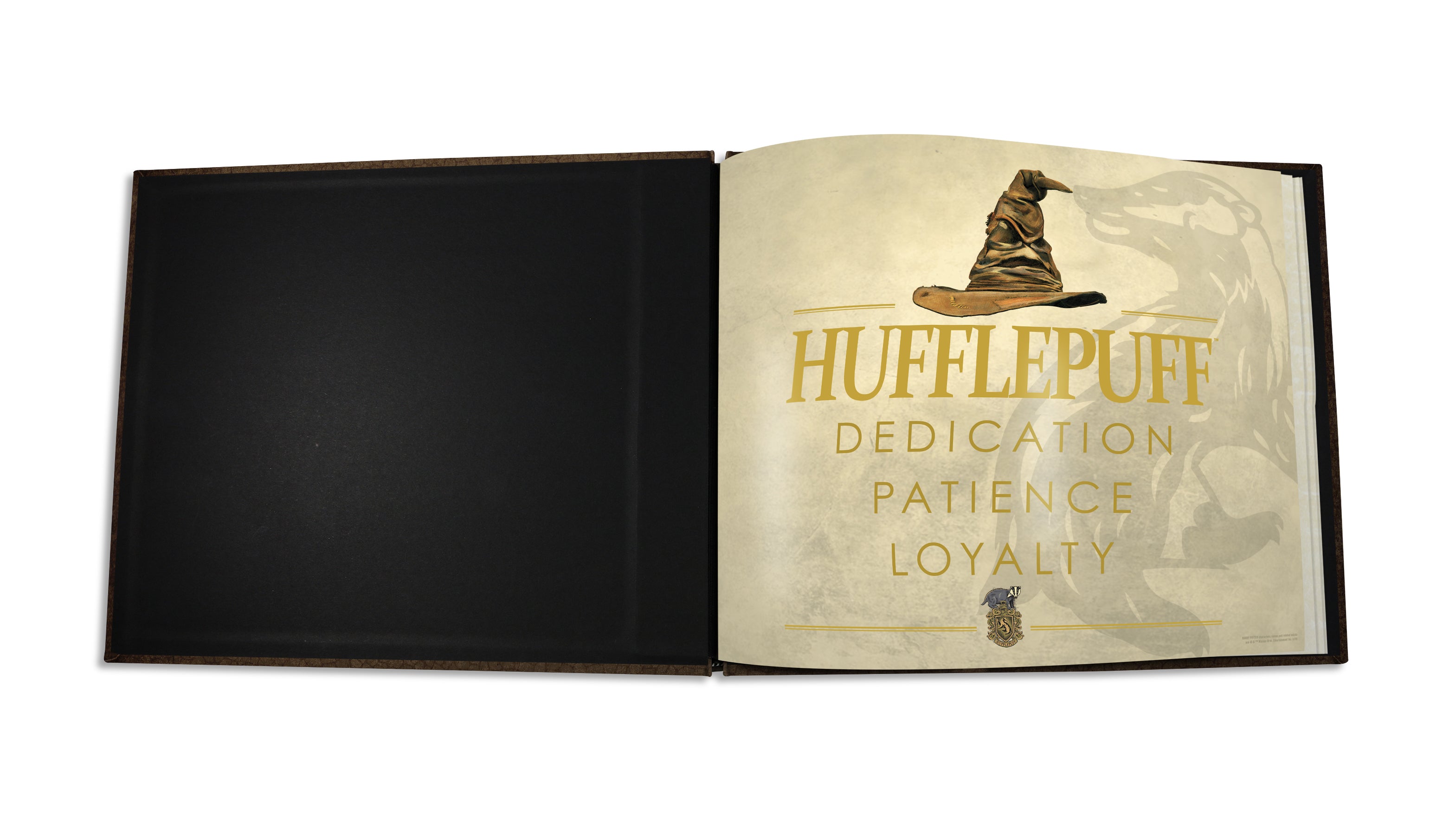 Harry Potter (Hogwarts House - Hufflepuff) Sketchbook SKETBOOK0515PRC