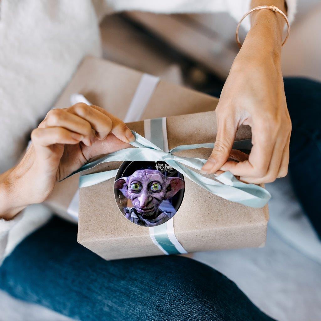 Harry Potter and the Deathly Hallows (Dobby the House Elf) StarFire Prints™ Glass Art SPCIR056