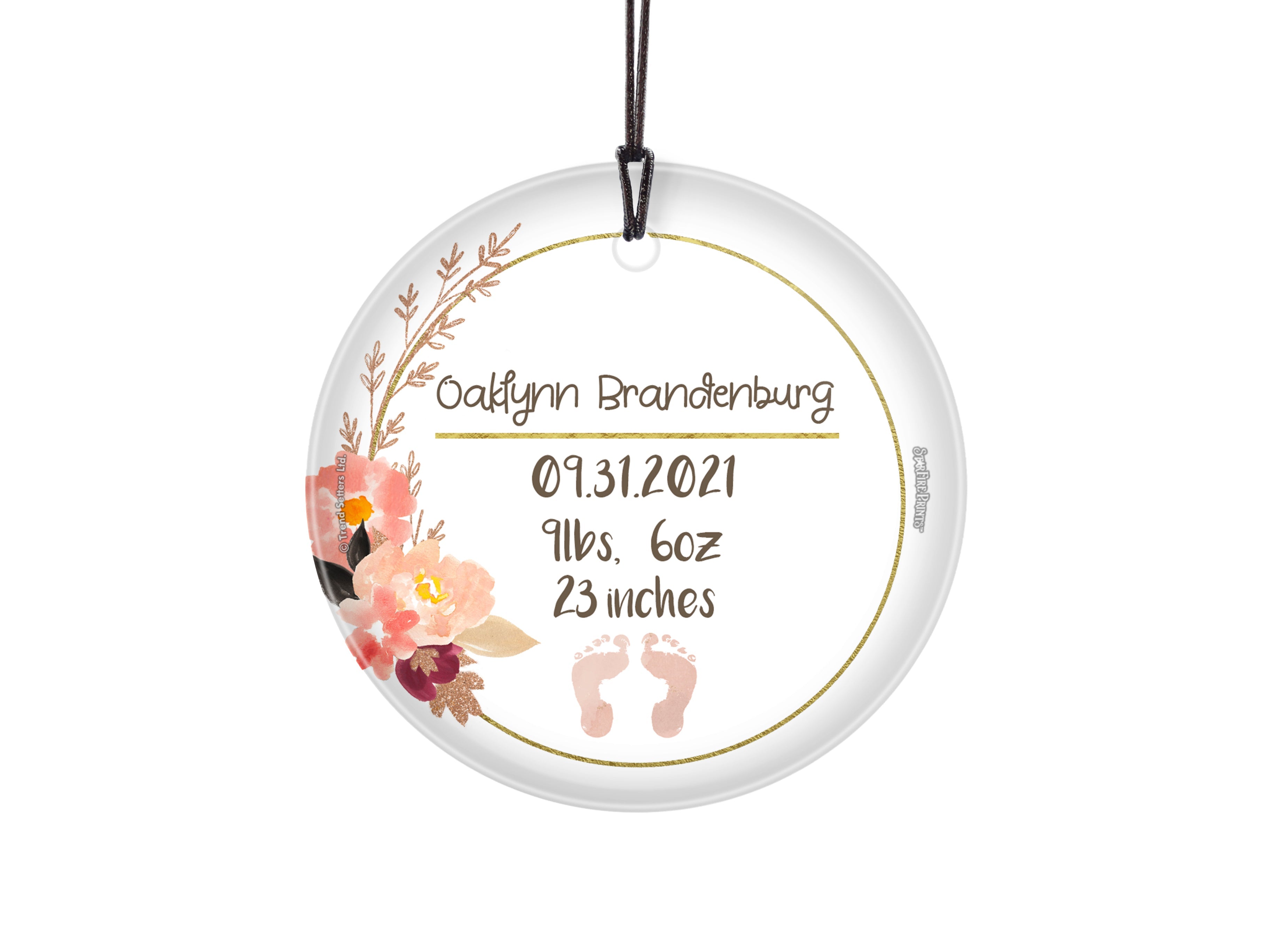 Baby Collection (Baby’s Information – Personalized) StarFire Prints Hanging Glass Print