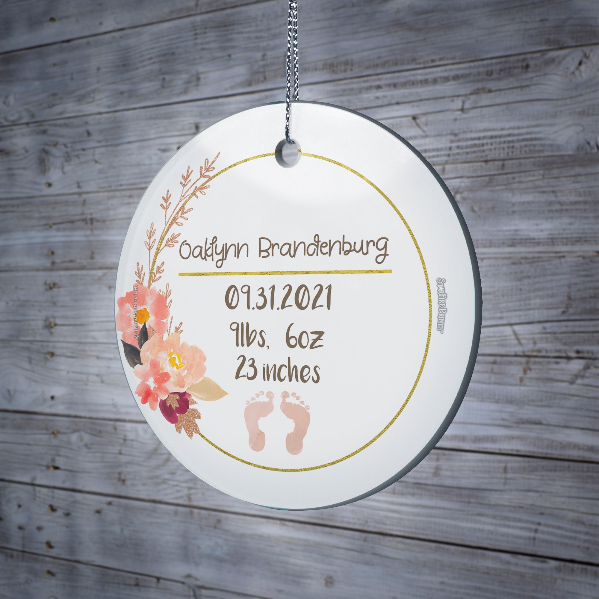 Baby Collection (Baby’s Information – Personalized) StarFire Prints Hanging Glass Print