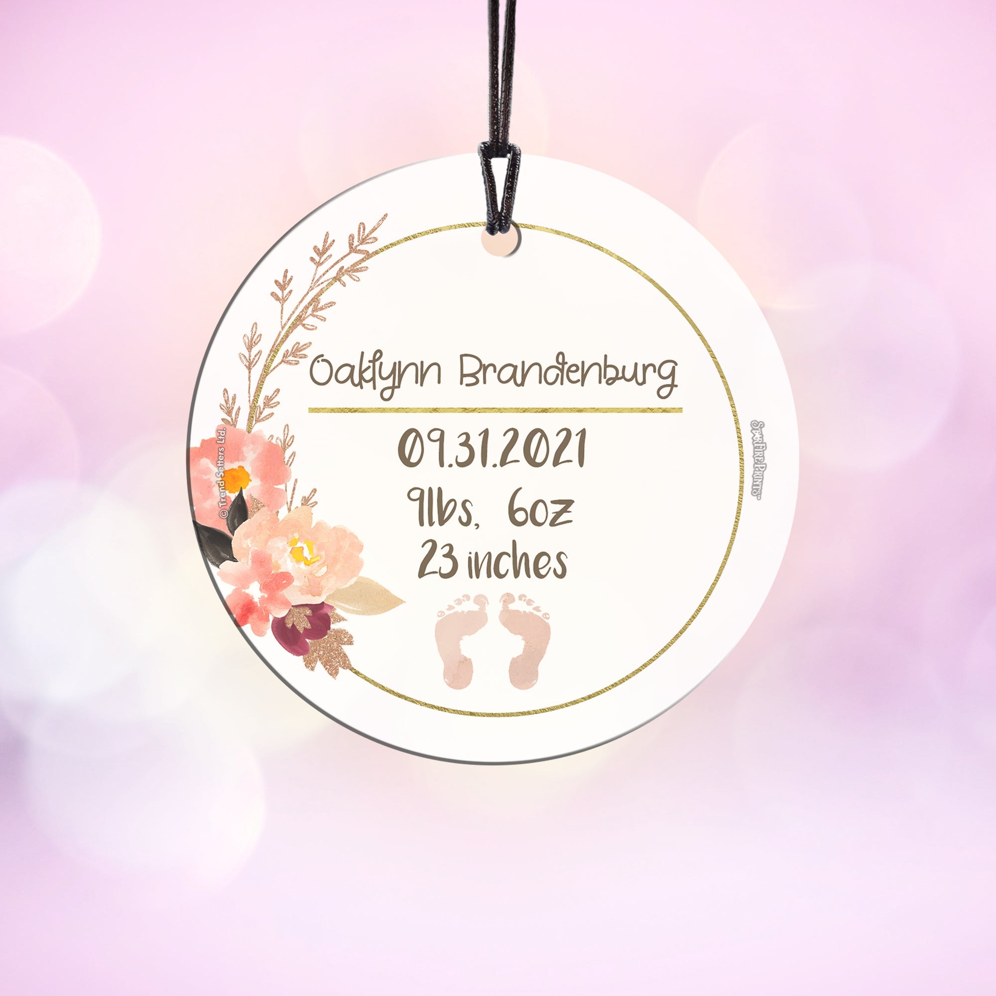 Baby Collection (Baby’s Information – Personalized) StarFire Prints Hanging Glass Print