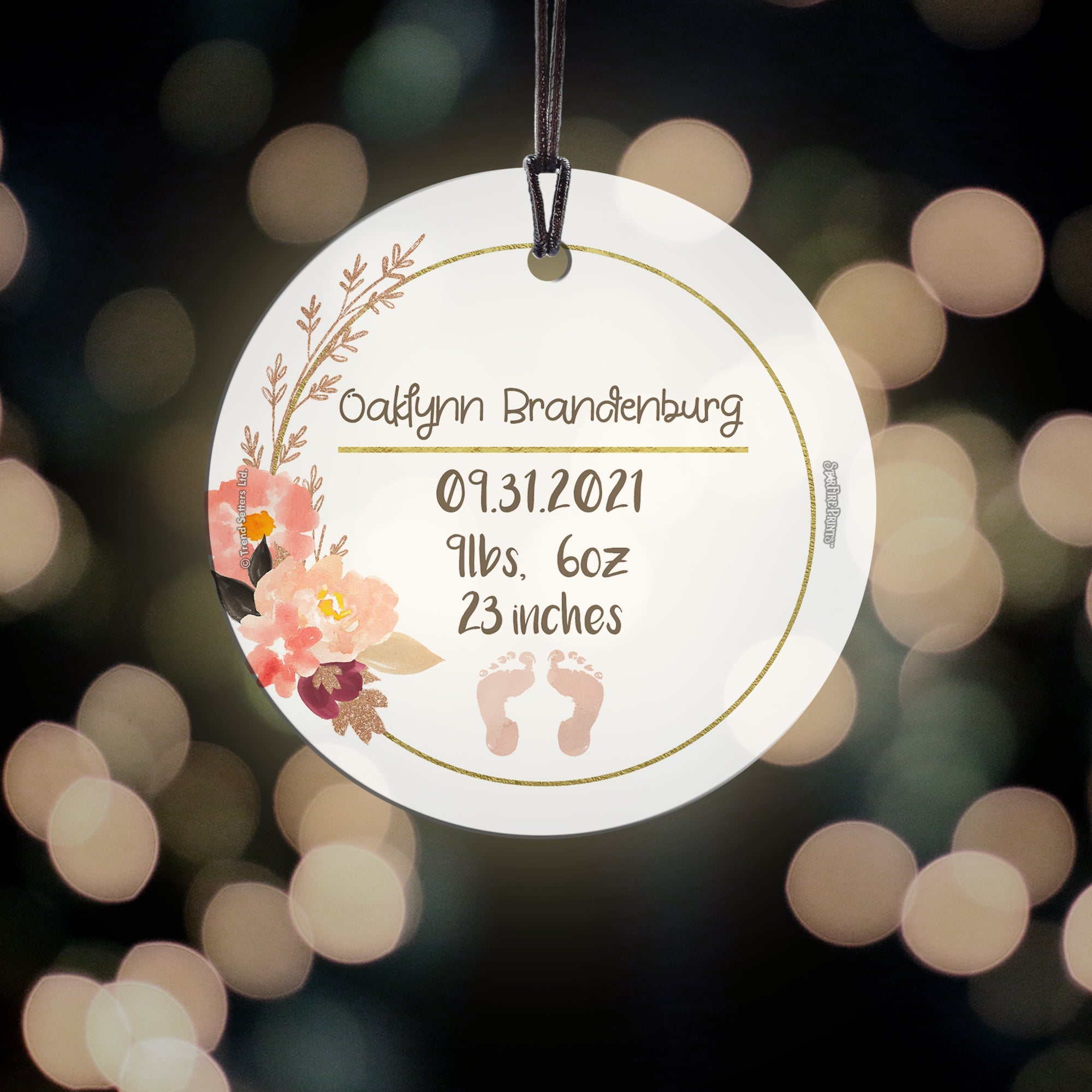 Baby Collection (Baby’s Information – Personalized) StarFire Prints Hanging Glass Print