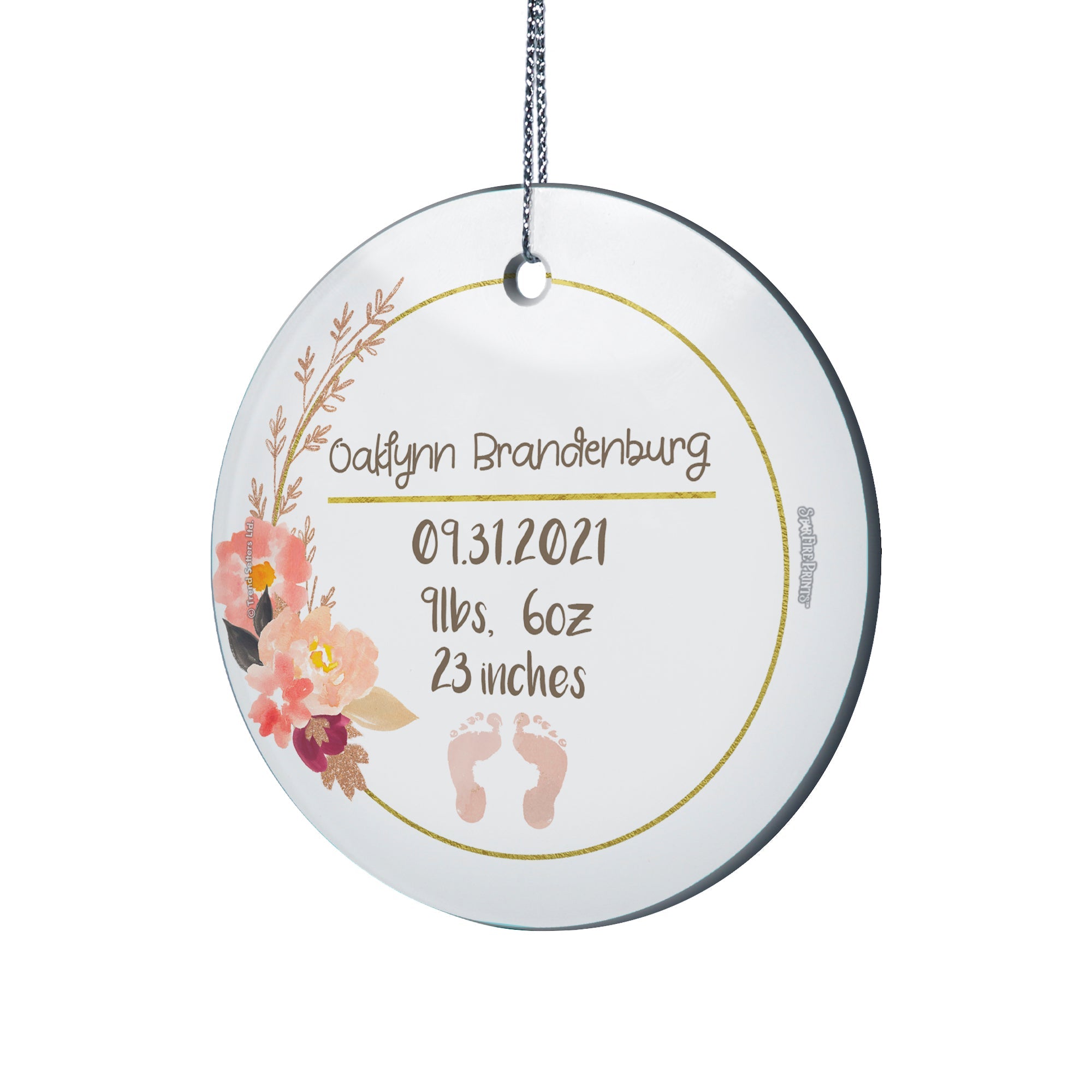 Baby Collection (Baby’s Information – Personalized) StarFire Prints Hanging Glass Print