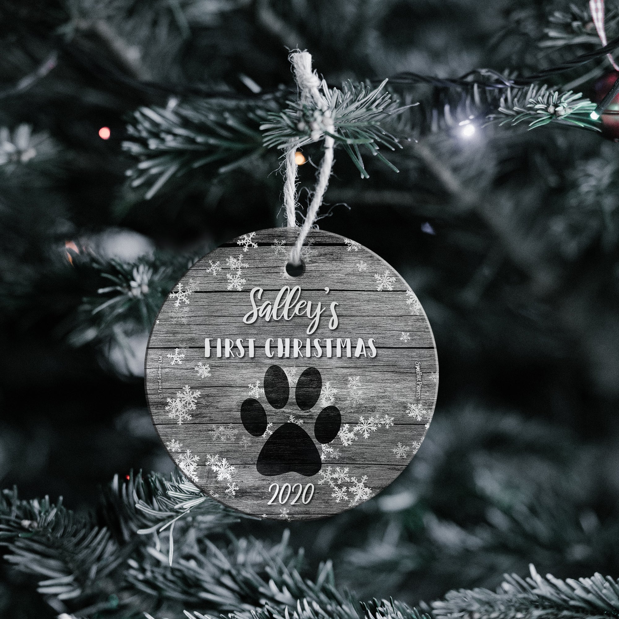 Christmas Collection (Dog’s First Christmas – Personalize with Name) StarFire Prints™ Hanging Glass Print
