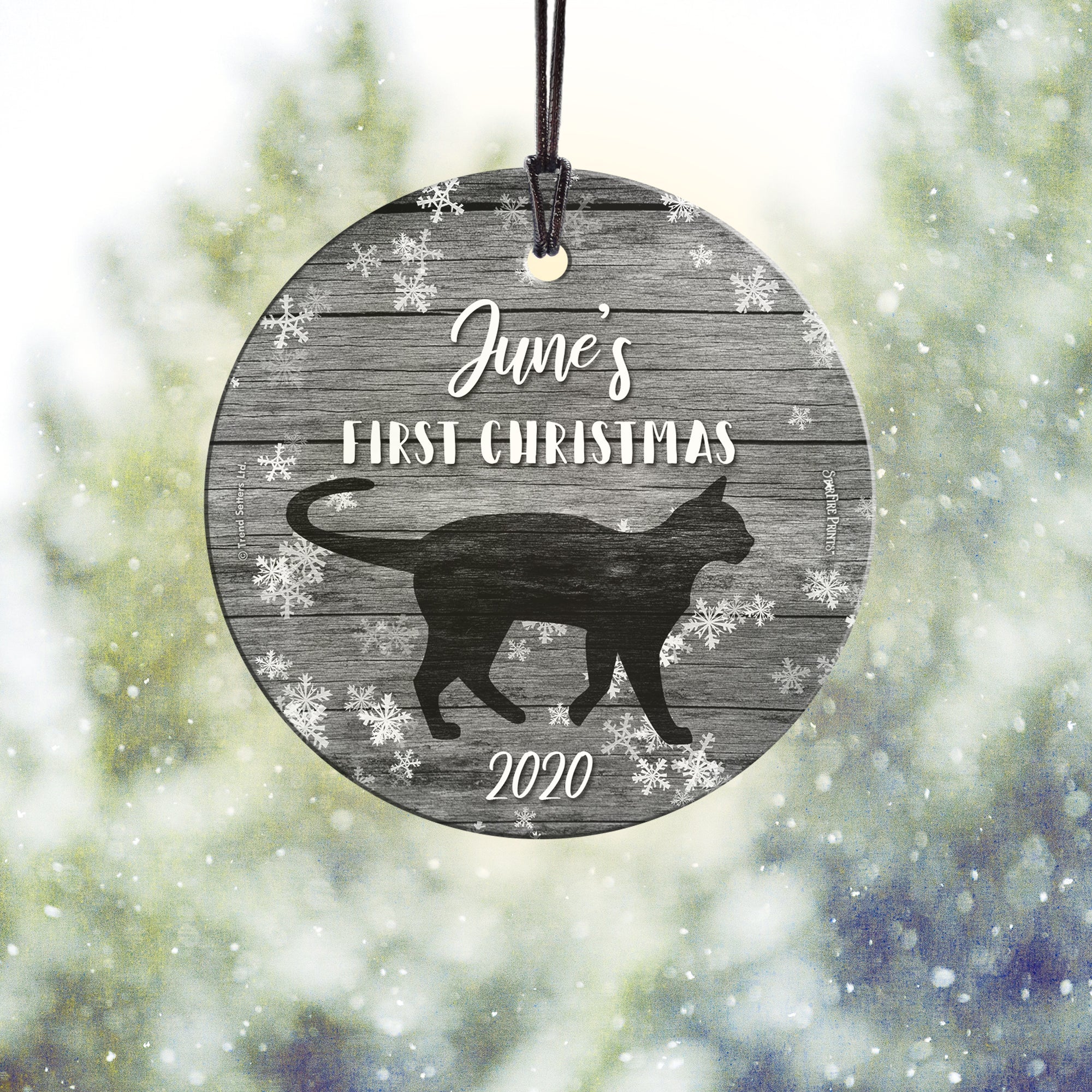 Christmas Collection (Cat's First Christmas - Personalized) StarFire Prints Hanging Glass Print SPCIR1083
