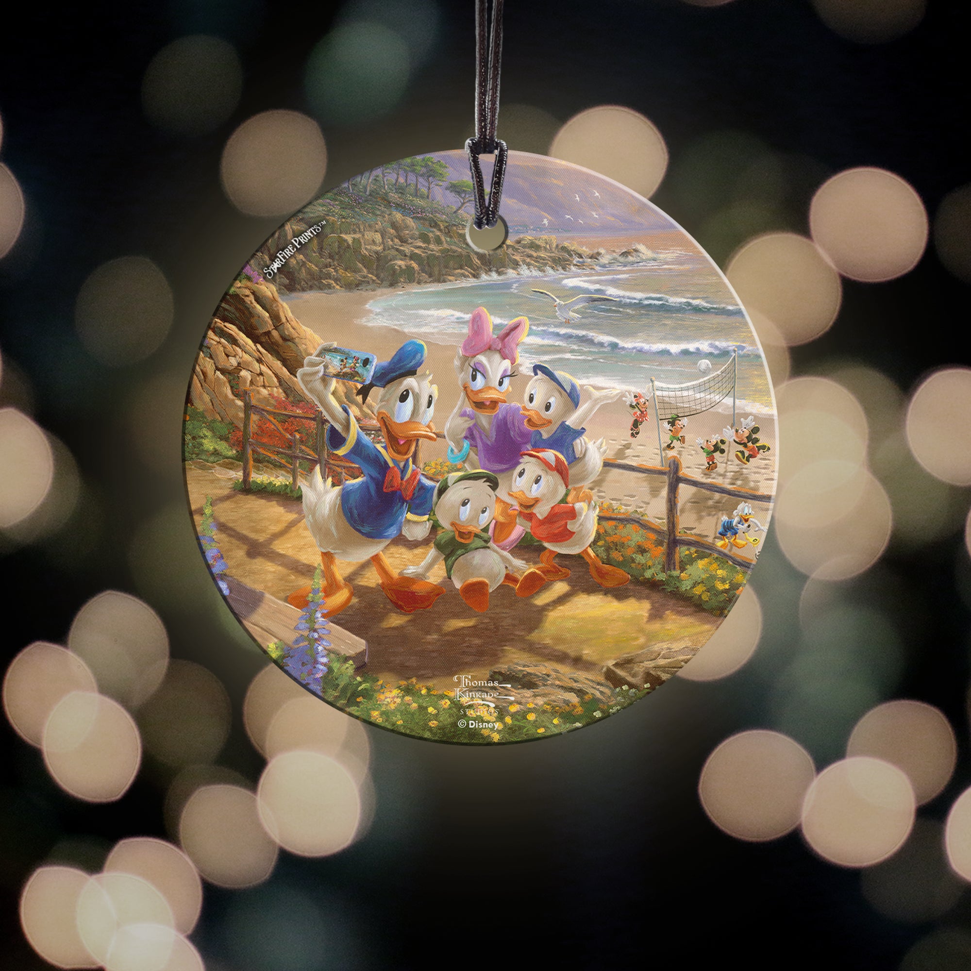 Disney (Donald and Daisy - A Duck Day Afternoon) StarFire Prints™ Hanging Glass Print SPCIR1104