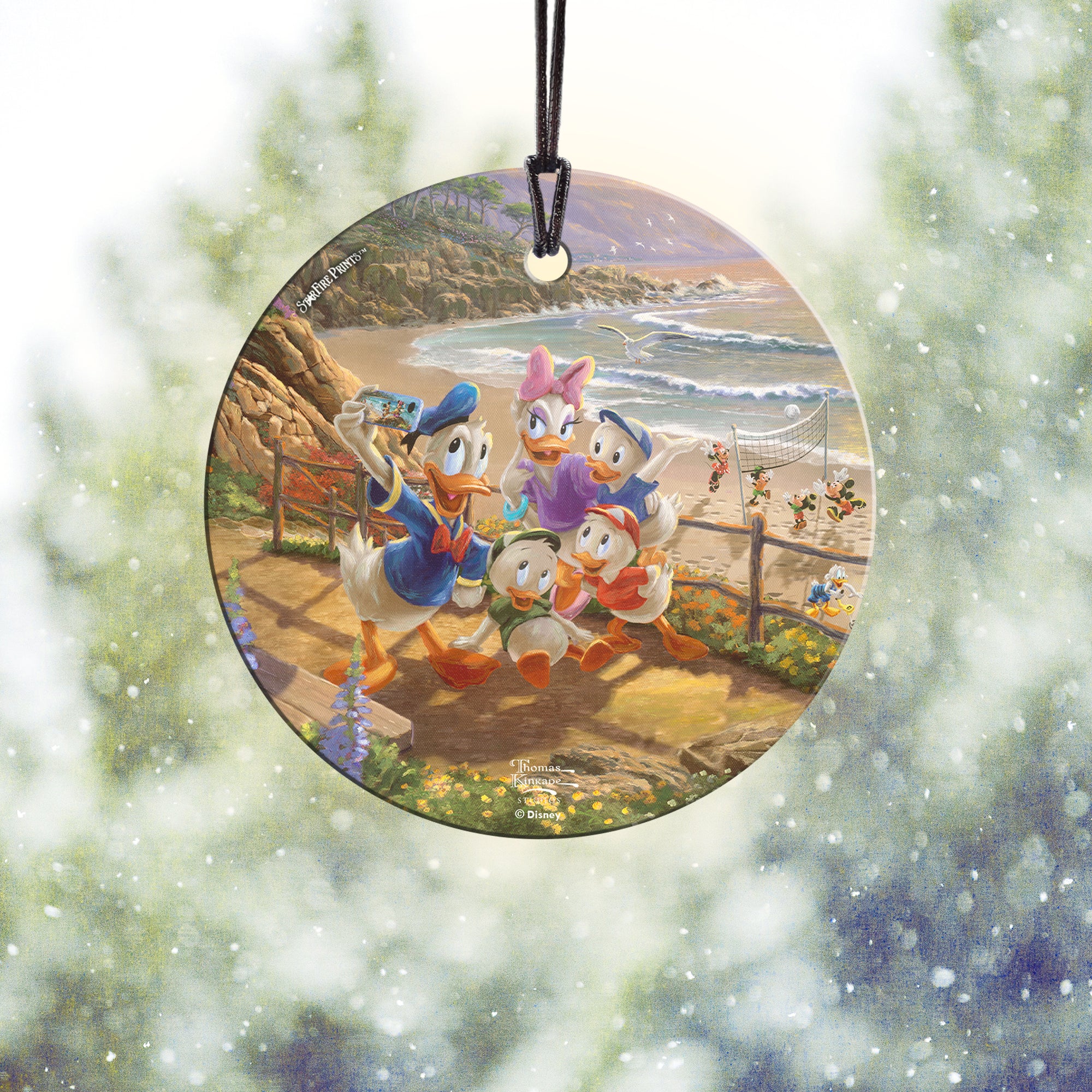 Disney (Donald and Daisy - A Duck Day Afternoon) StarFire Prints™ Hanging Glass Print SPCIR1104