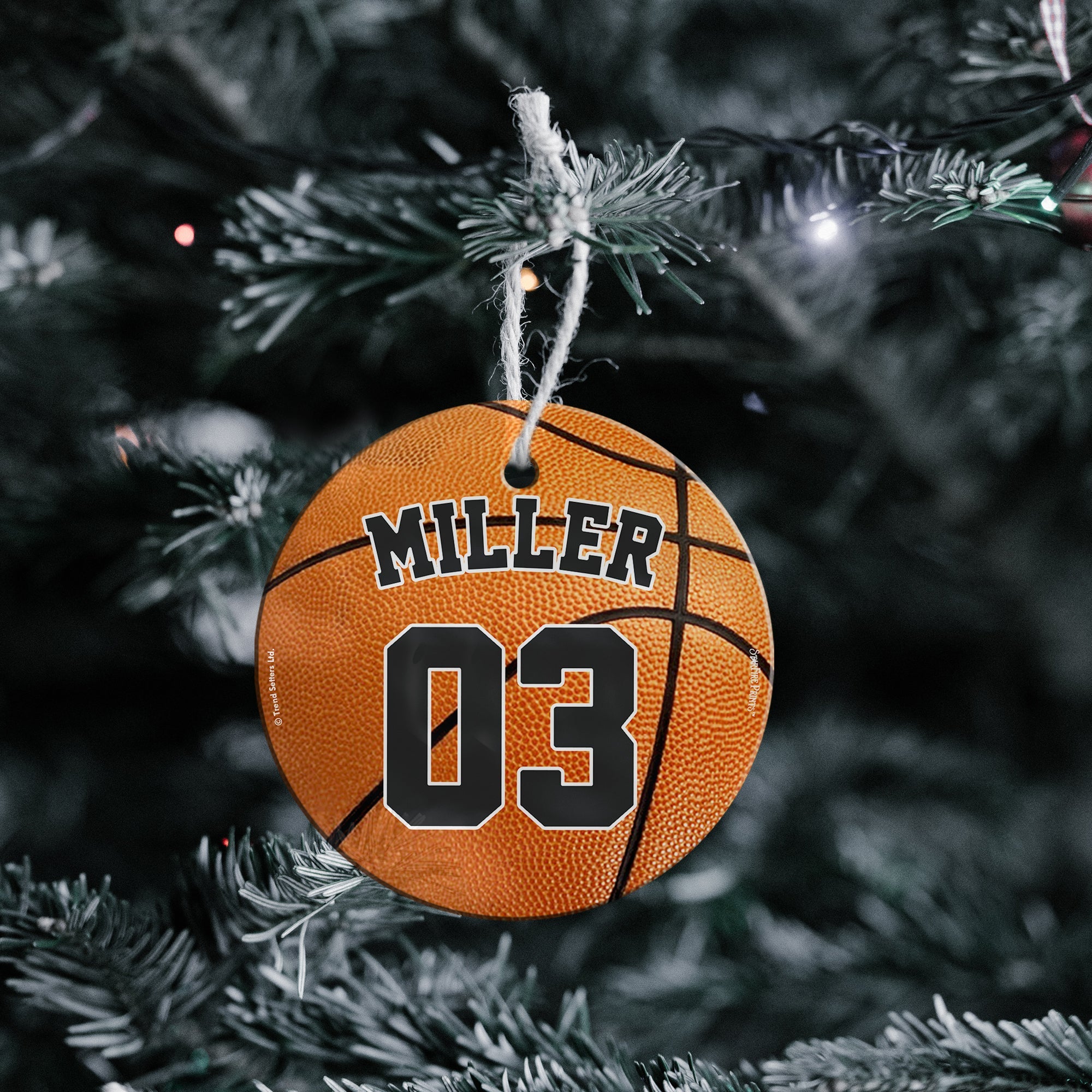 Sports Collection (Basketball - Personalized) StarFire Prints™ Hanging Glass Print SPCIR1127