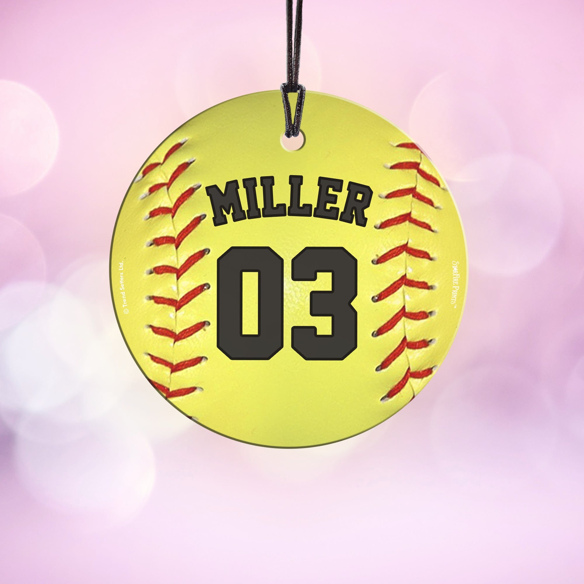 Sports Collection (Softball - Personalized) StarFire Prints Hanging Glass Print SPCIR1131