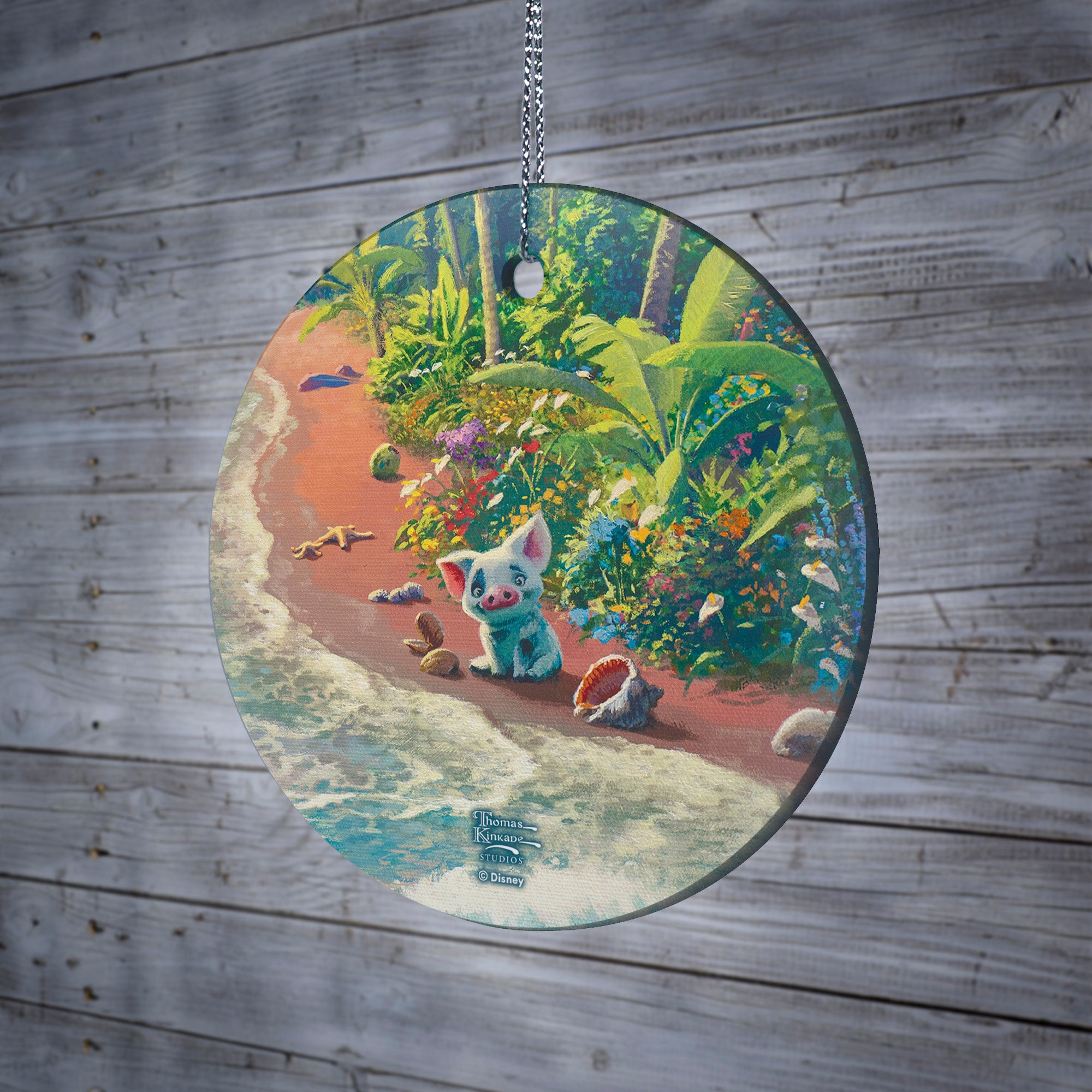 Disney (Moana Pua) StarFire Prints™ Hanging Glass Print SPCIR1273