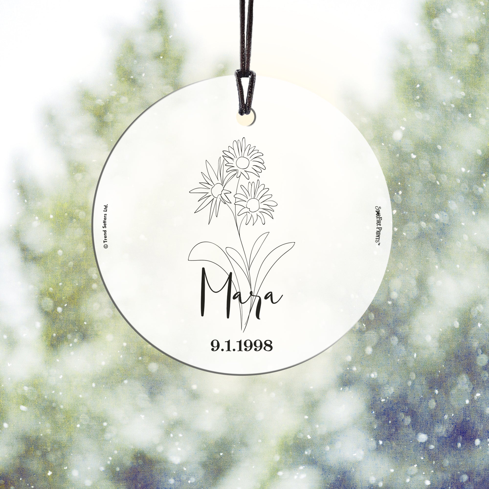 Birthday Collection (Birth Month Flower - Personalized) StarFire Prints™ Hanging Glass Print