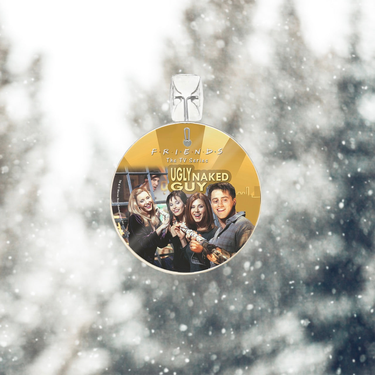 Friends: The TV Series (Ugly Naked Guy) StarFire Prints™ Glass Art SPCIR426