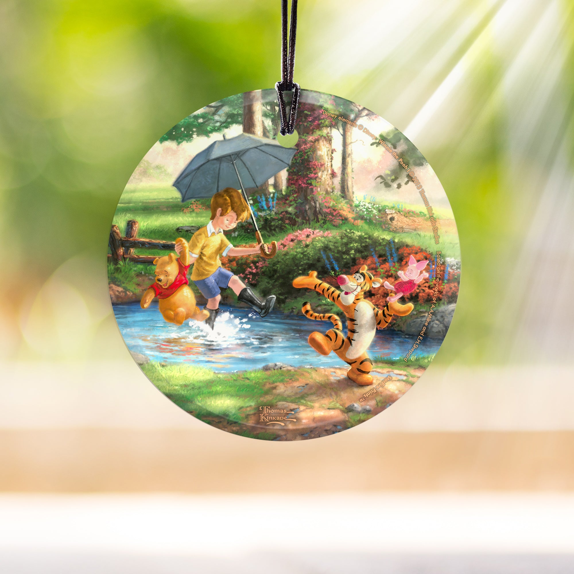 Disney (Winnie the Pooh I) StarFire Prints™ Hanging Glass Print SPCIR467