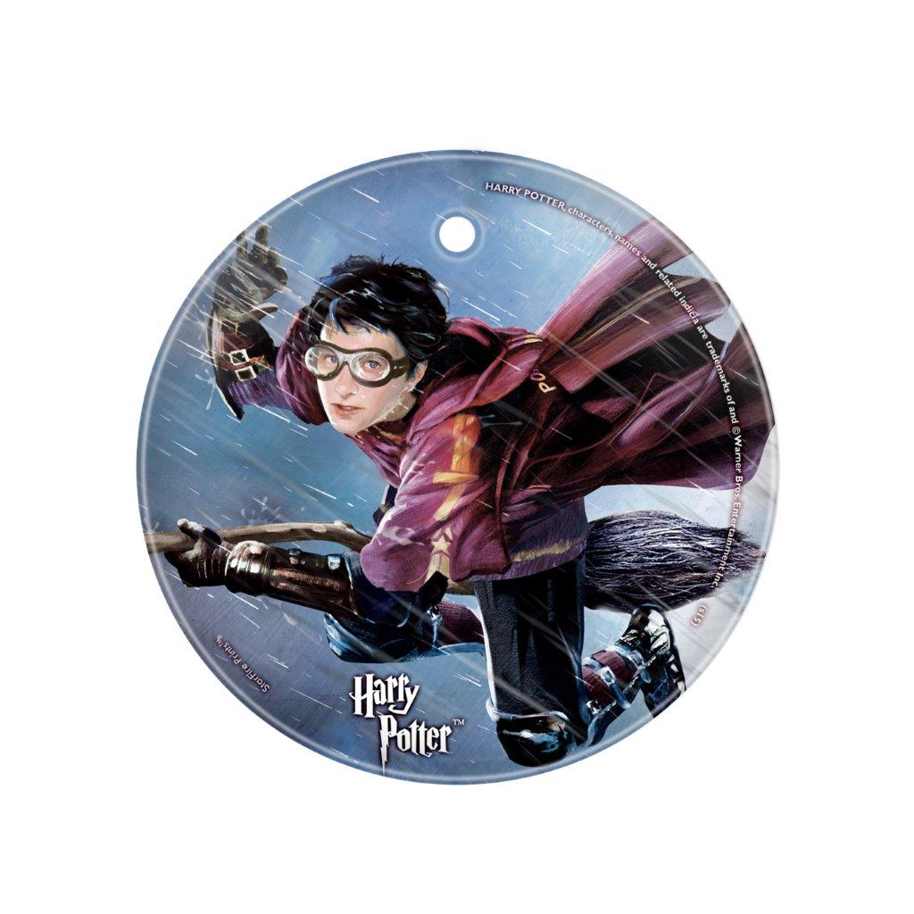 Harry Potter (Quidditch) StarFire Prints™ Glass Art SPCIR521