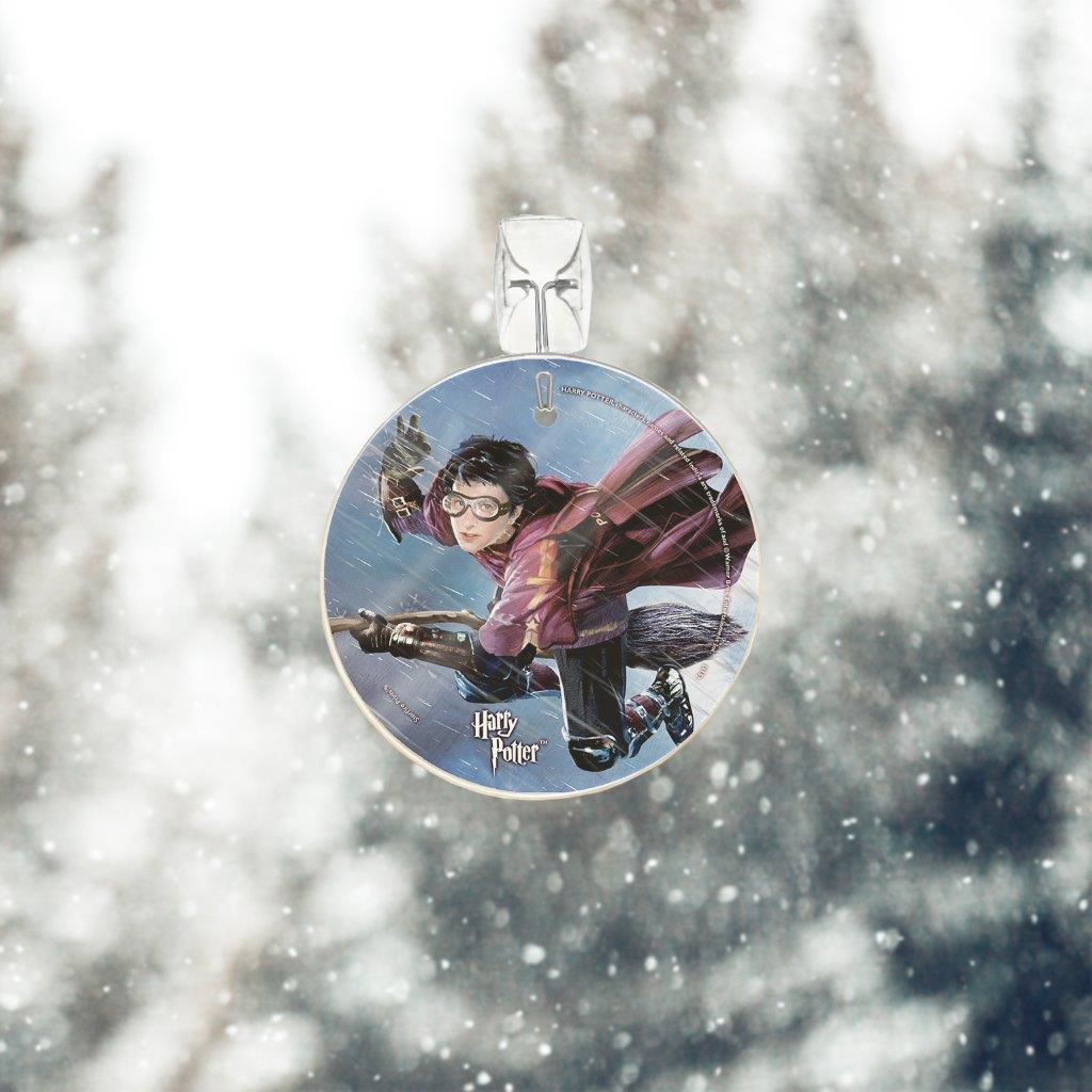 Harry Potter (Quidditch) StarFire Prints™ Glass Art SPCIR521