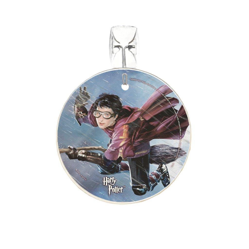 Harry Potter (Quidditch) StarFire Prints™ Glass Art SPCIR521