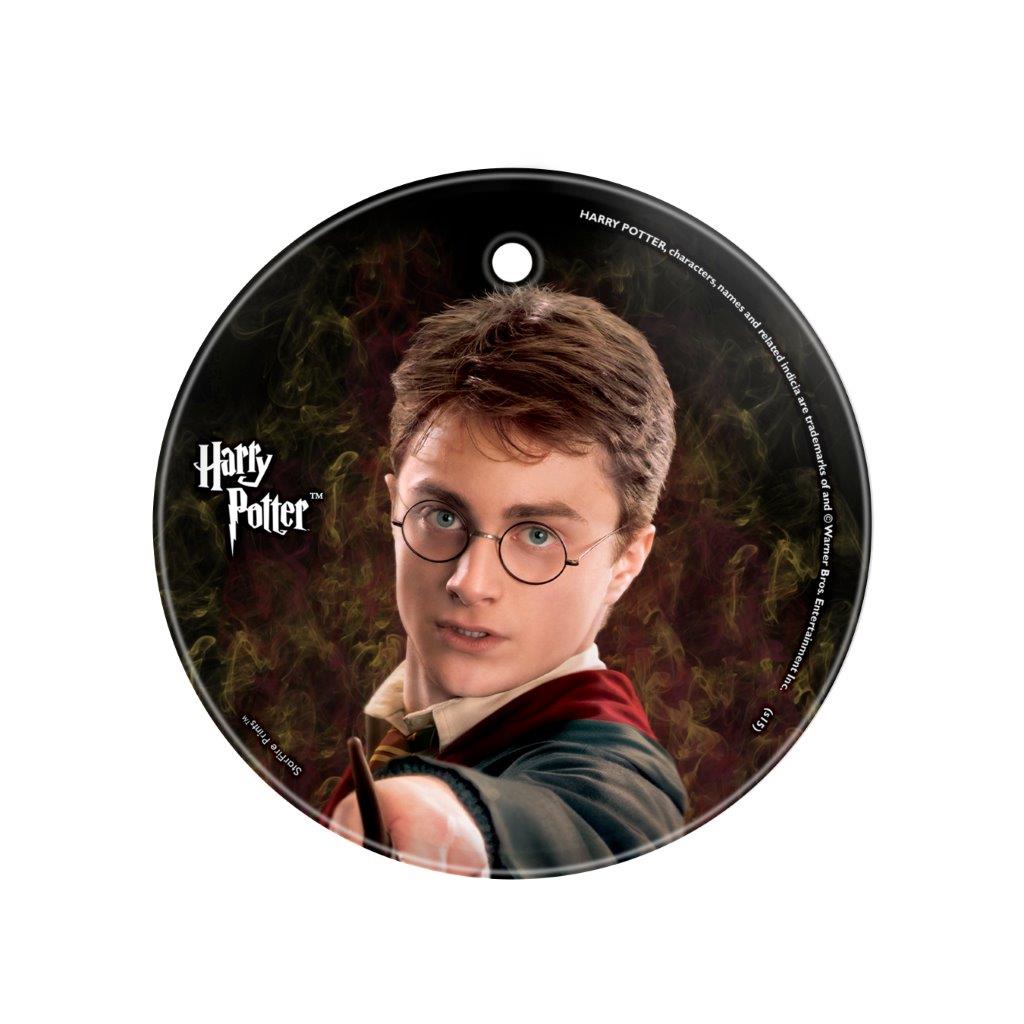 Harry Potter (Harry Potter) StarFire Prints™ Glass Art SPCIR522