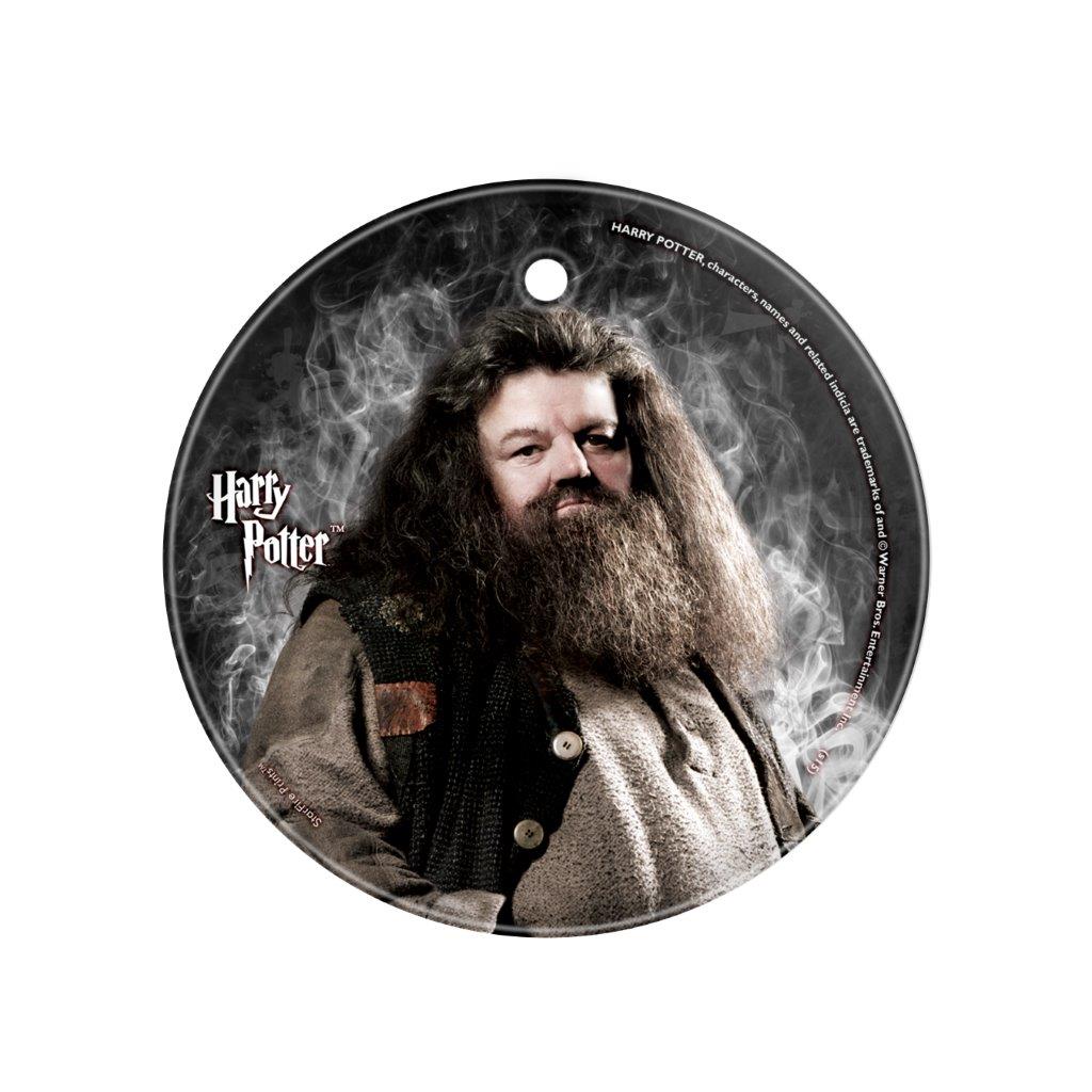 Harry Potter (Hagrid) StarFire Prints™ Glass Art SPCIR529
