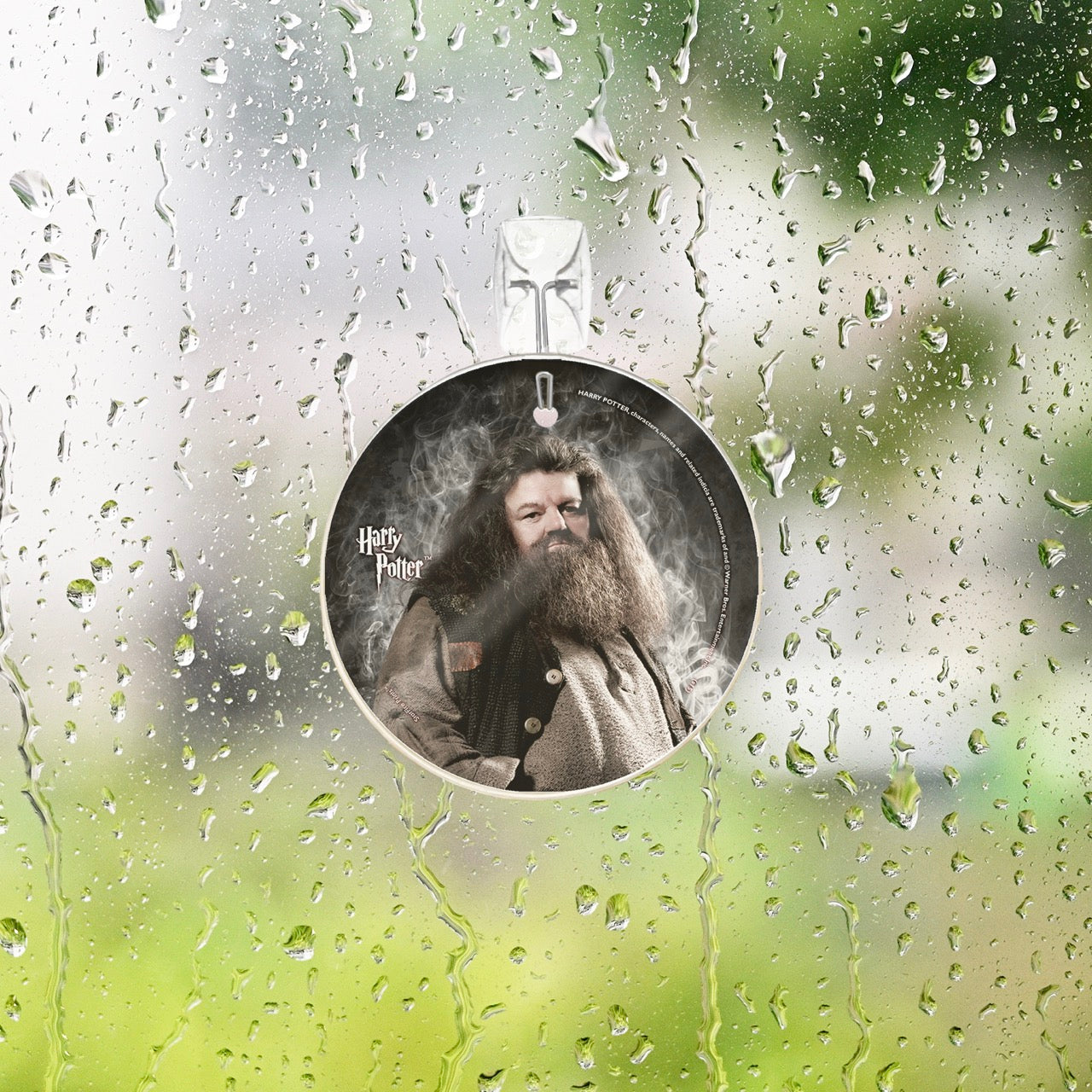 Harry Potter (Hagrid) StarFire Prints™ Glass Art SPCIR529