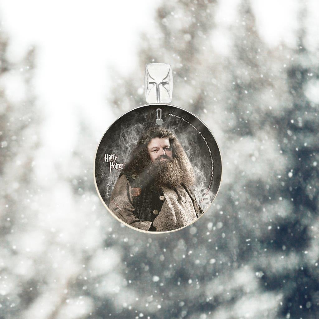 Harry Potter (Hagrid) StarFire Prints™ Glass Art SPCIR529