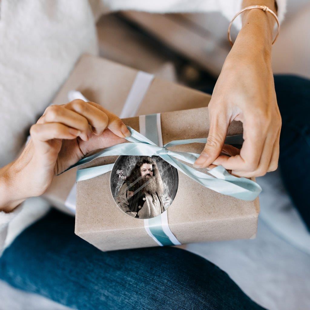 Harry Potter (Hagrid) StarFire Prints™ Glass Art SPCIR529