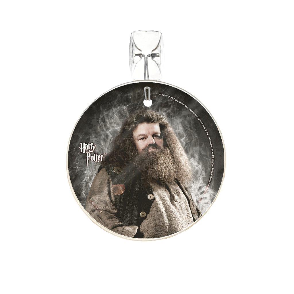 Harry Potter (Hagrid) StarFire Prints™ Glass Art SPCIR529