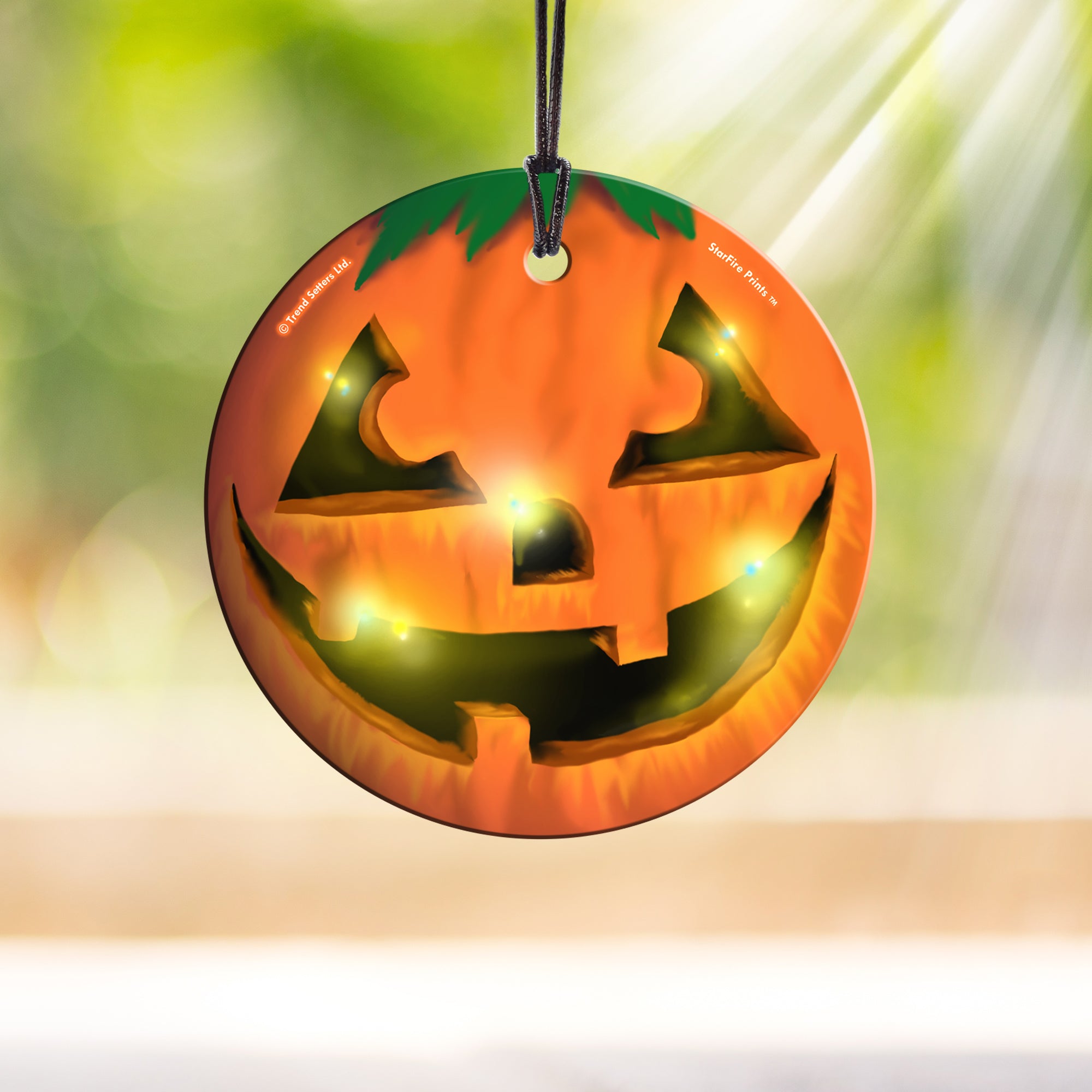Halloween Collection (Jack o Lantern) Hanging Glass Print SPCIR555