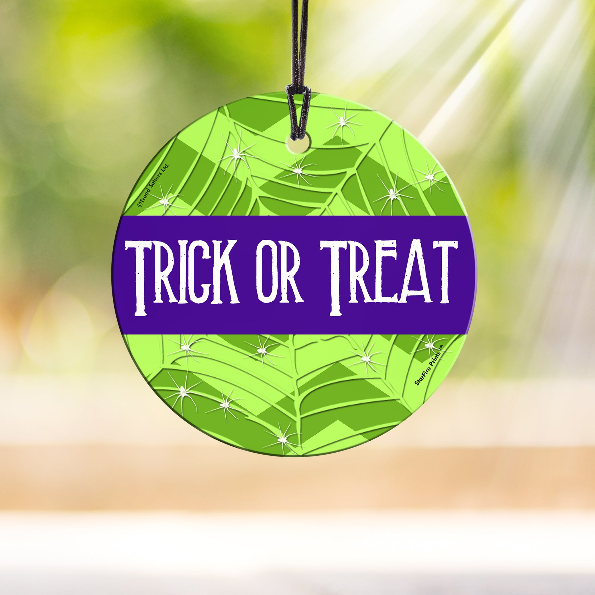 Halloween Collection (Trick or Treat) StarFire Prints™ Hanging Glass Print SPCIR565