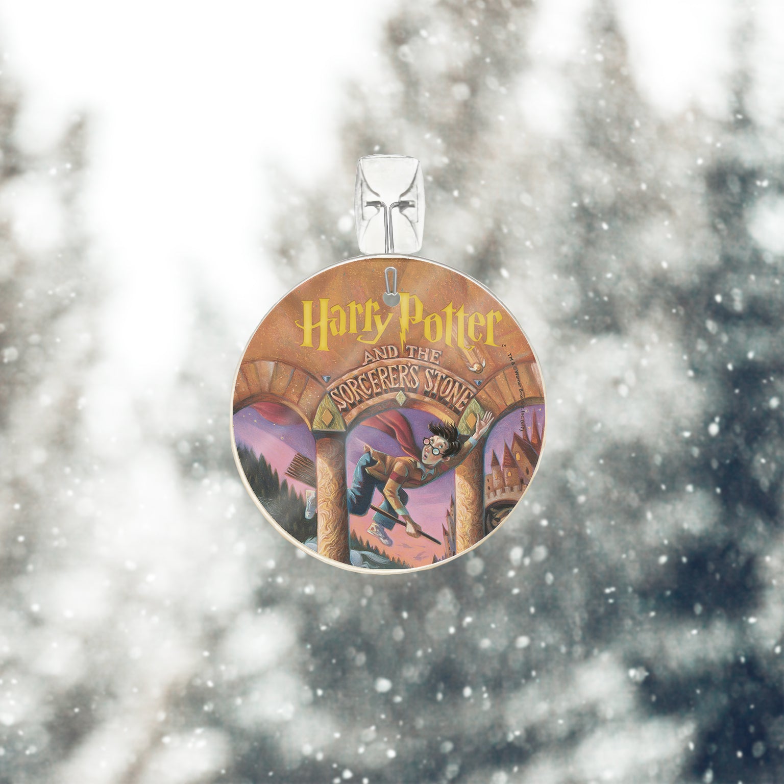 Harry Potter (The Sorcerers Stone) StarFire Prints™ Glass Art SPCIR704