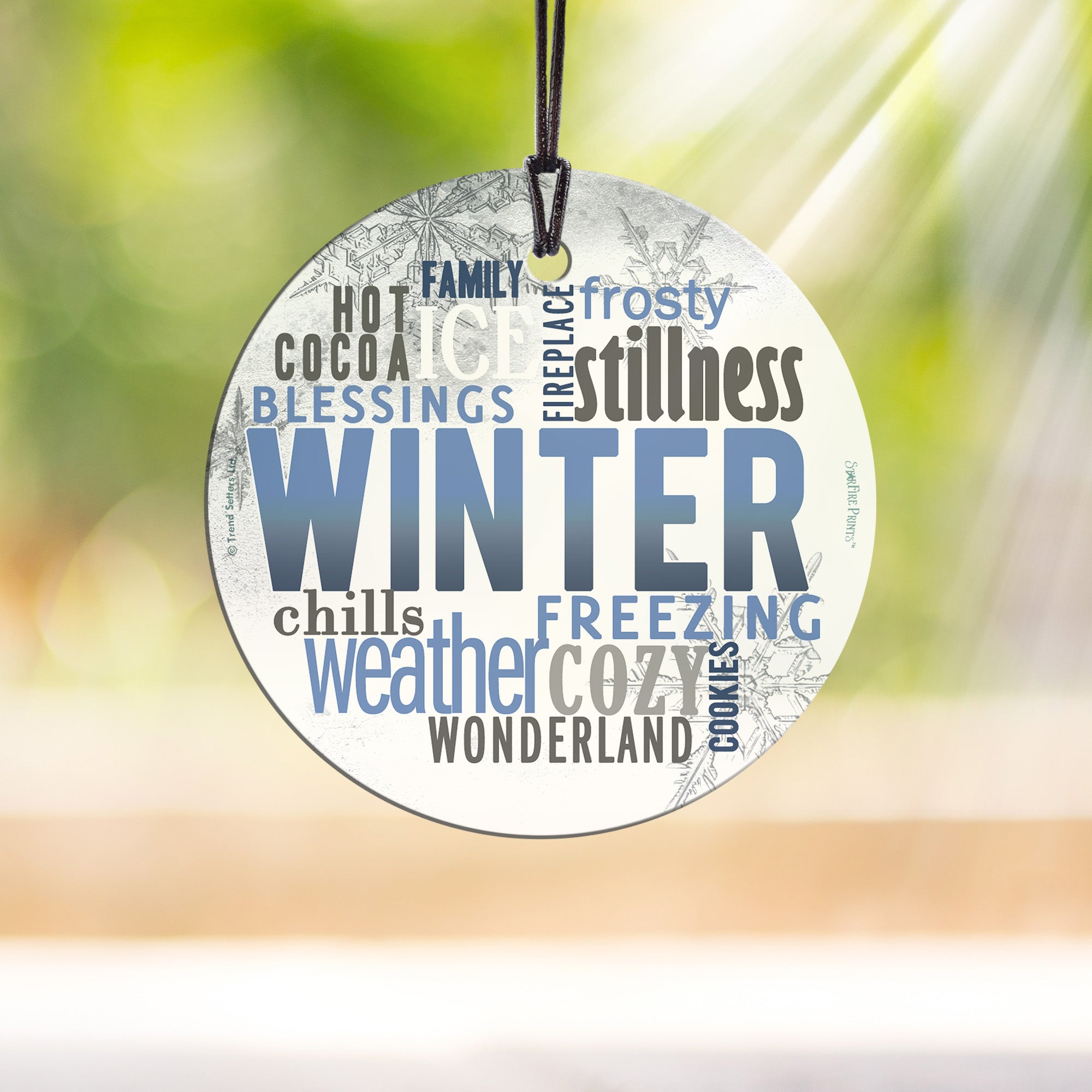 Christmas Collection (Winter Words) StarFire Prints™ Hanging Glass Print SPCIR809