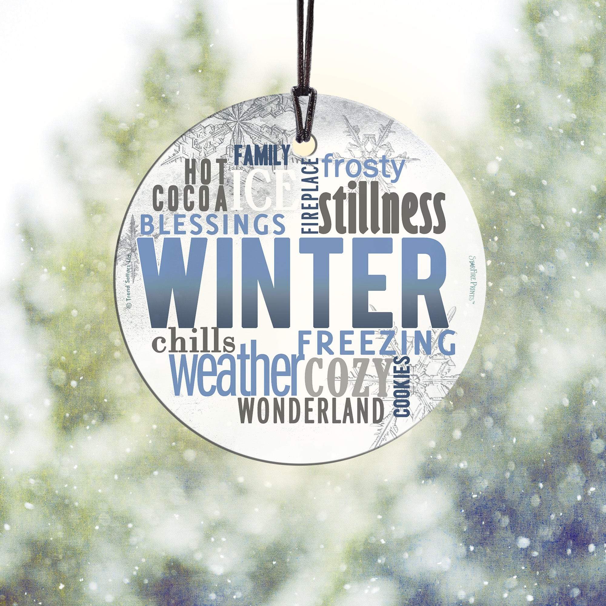 Christmas Collection (Winter Words) StarFire Prints™ Hanging Glass Print SPCIR809