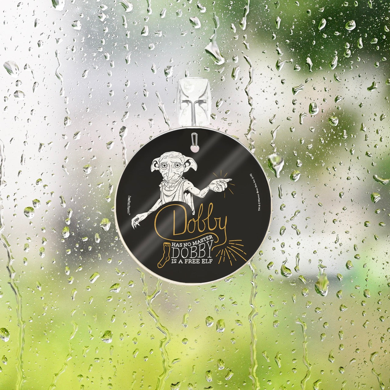 Harry Potter (Dobby is a Free Elf) StarFire Prints™ Glass Art SPCIR895