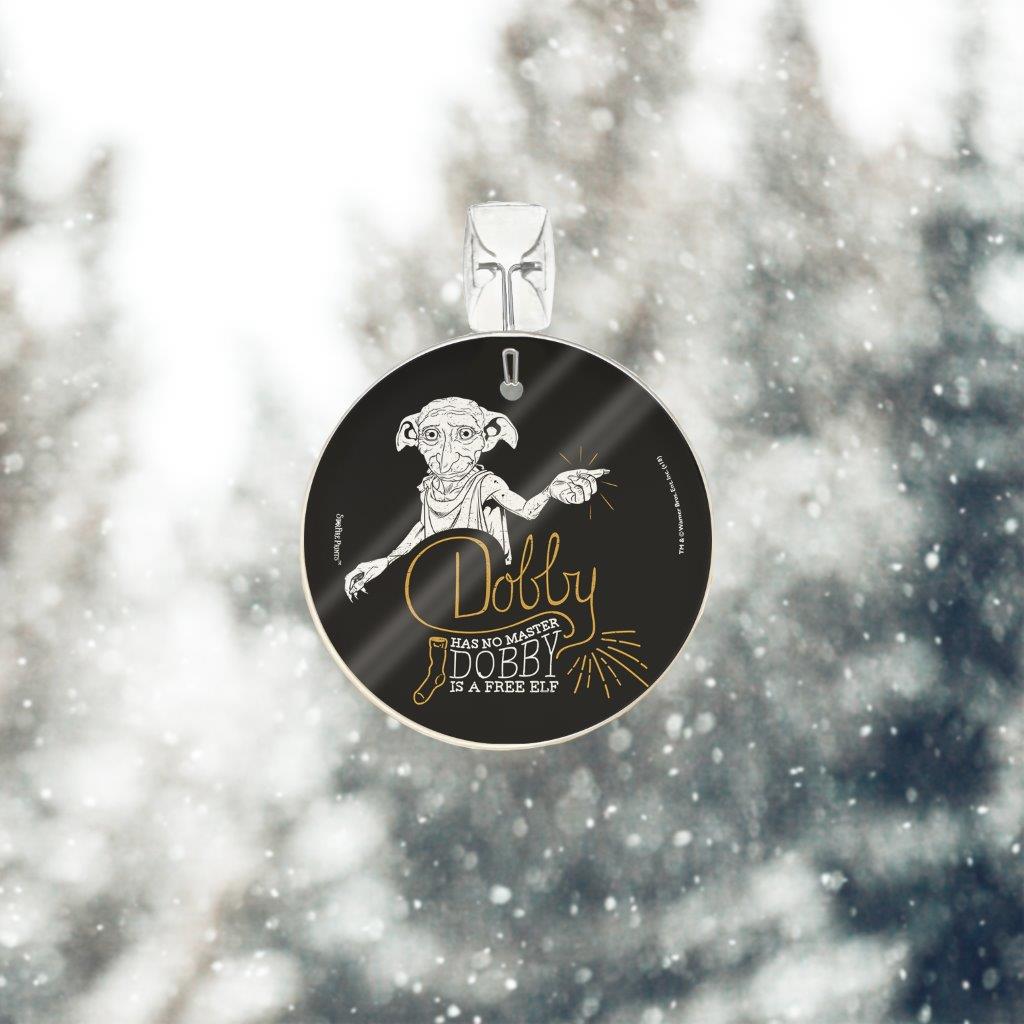 Harry Potter (Dobby is a Free Elf) StarFire Prints™ Glass Art SPCIR895