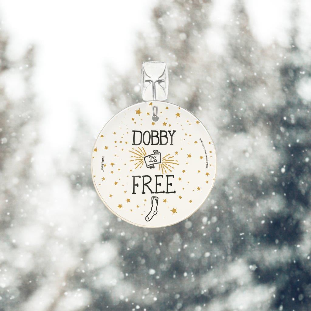 Harry Potter (Dobby Is Free) StarFire Prints™ Glass Art SPCIR896