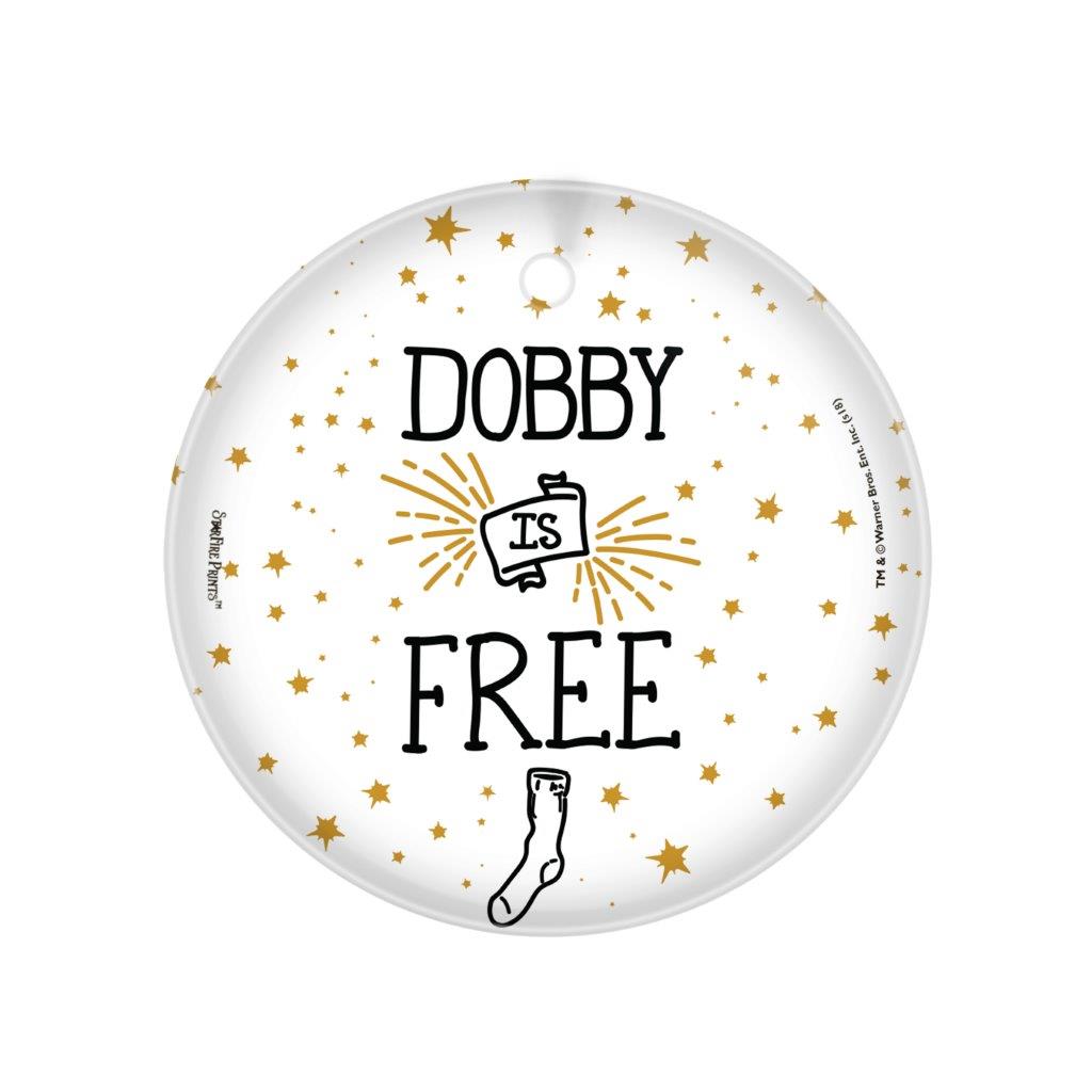 Harry Potter (Dobby Is Free) StarFire Prints™ Glass Art SPCIR896