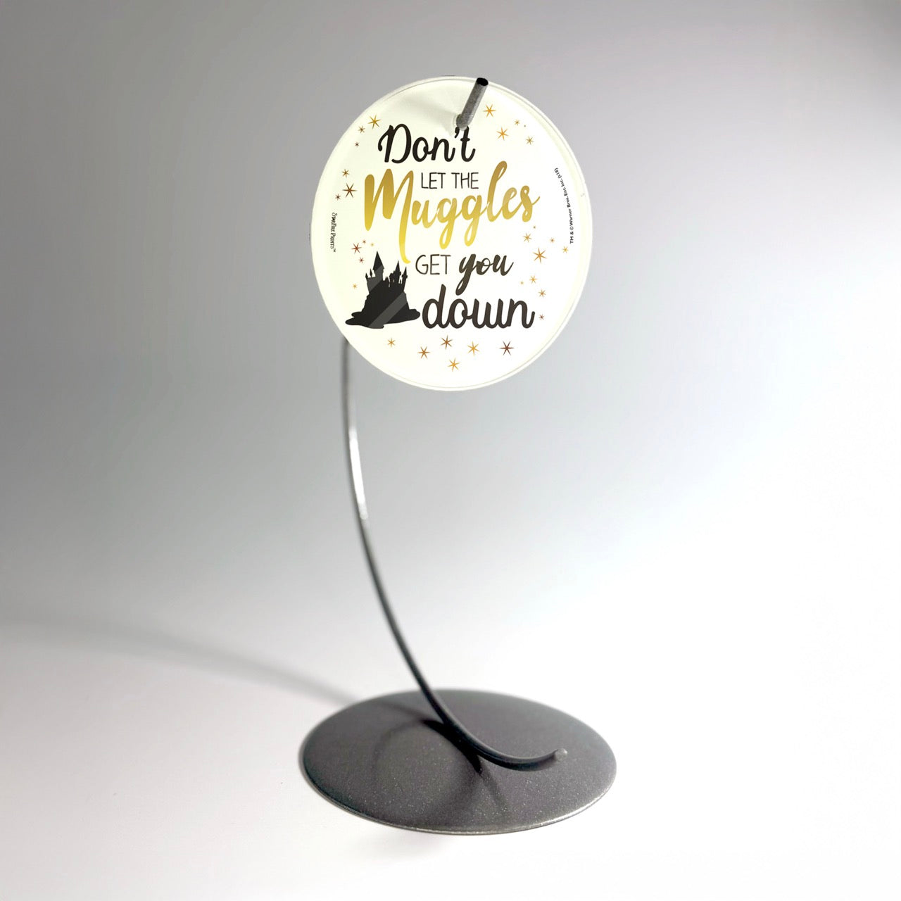 Harry Potter (Don't Let The Muggle) StarFire Prints™ Glass Art SPCIR897