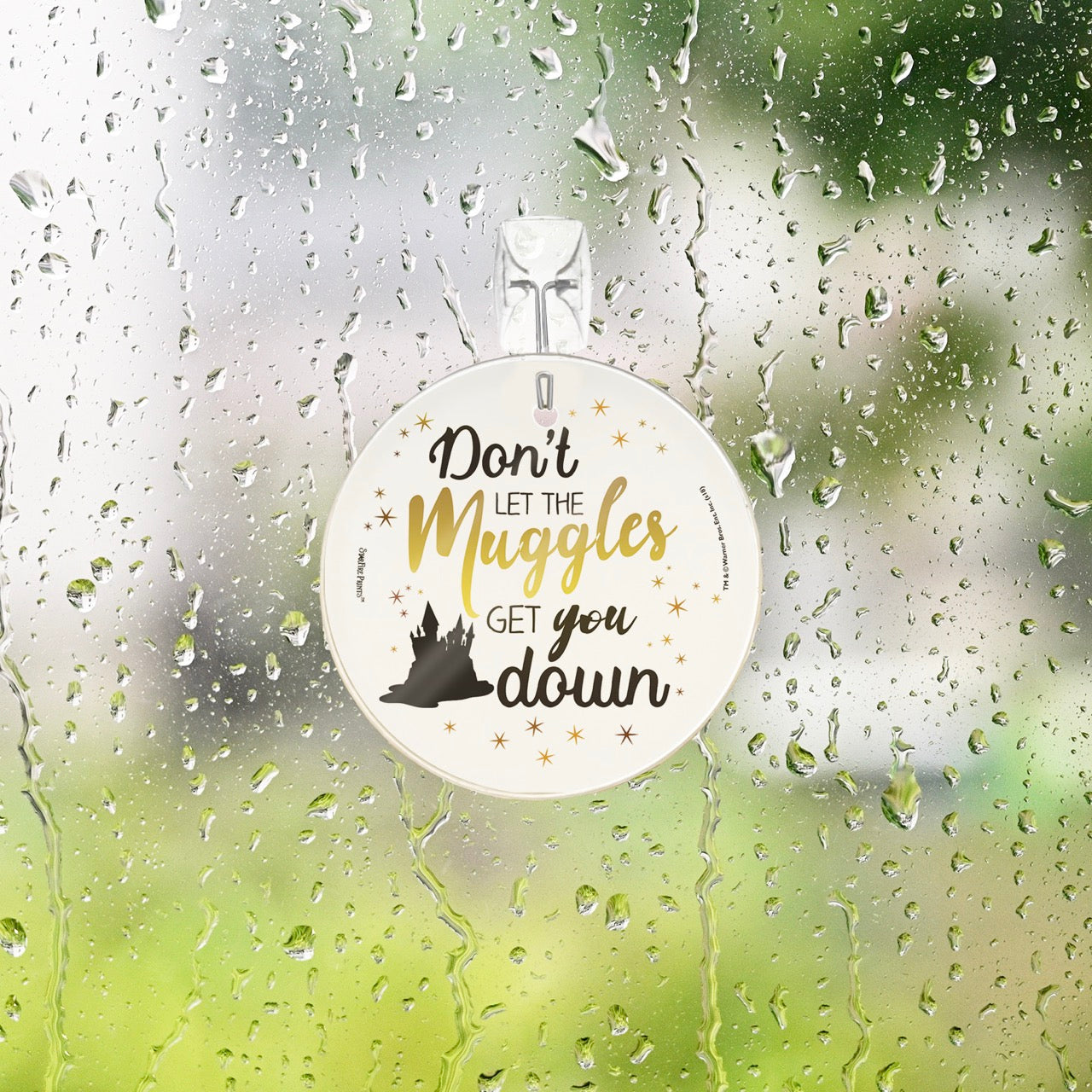 Harry Potter (Don't Let The Muggle) StarFire Prints™ Glass Art SPCIR897