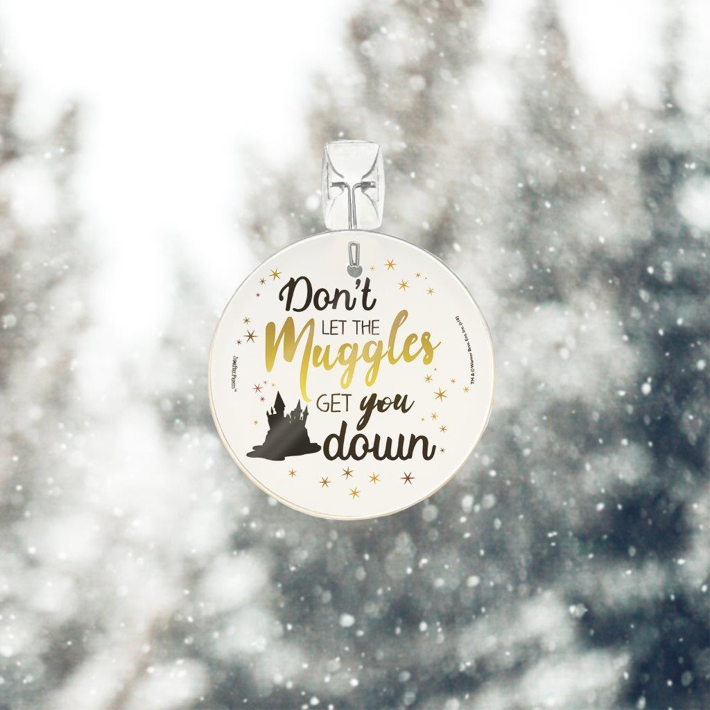 Harry Potter (Don't Let The Muggle) StarFire Prints™ Glass Art SPCIR897