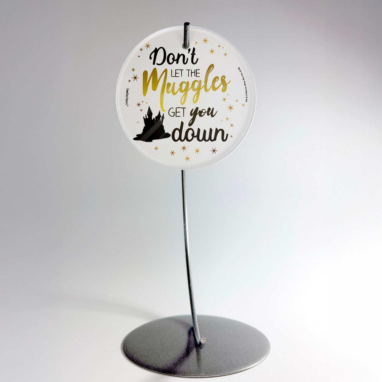 Harry Potter (Don't Let The Muggle) StarFire Prints™ Glass Art SPCIR897