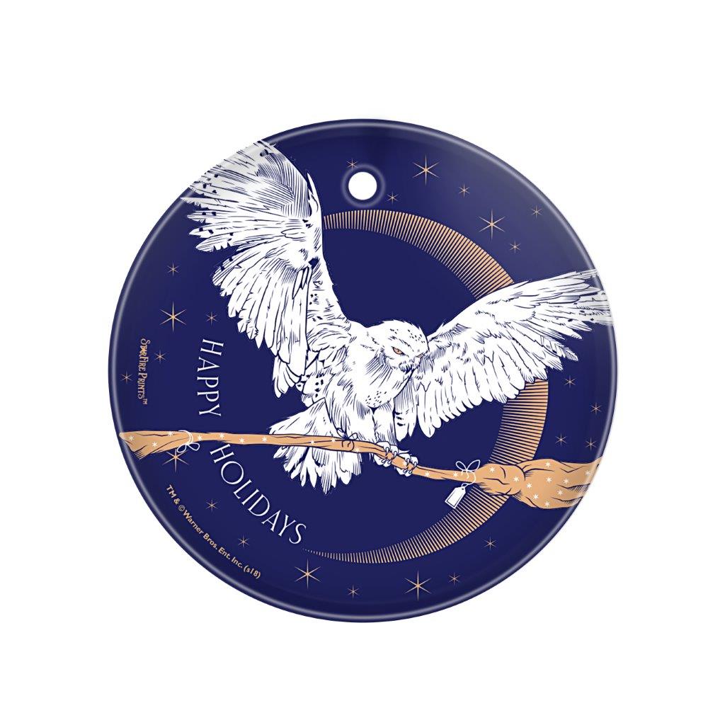 Harry Potter (Hedwig Delivery) StarFire Prints™ Glass Art SPCIR898