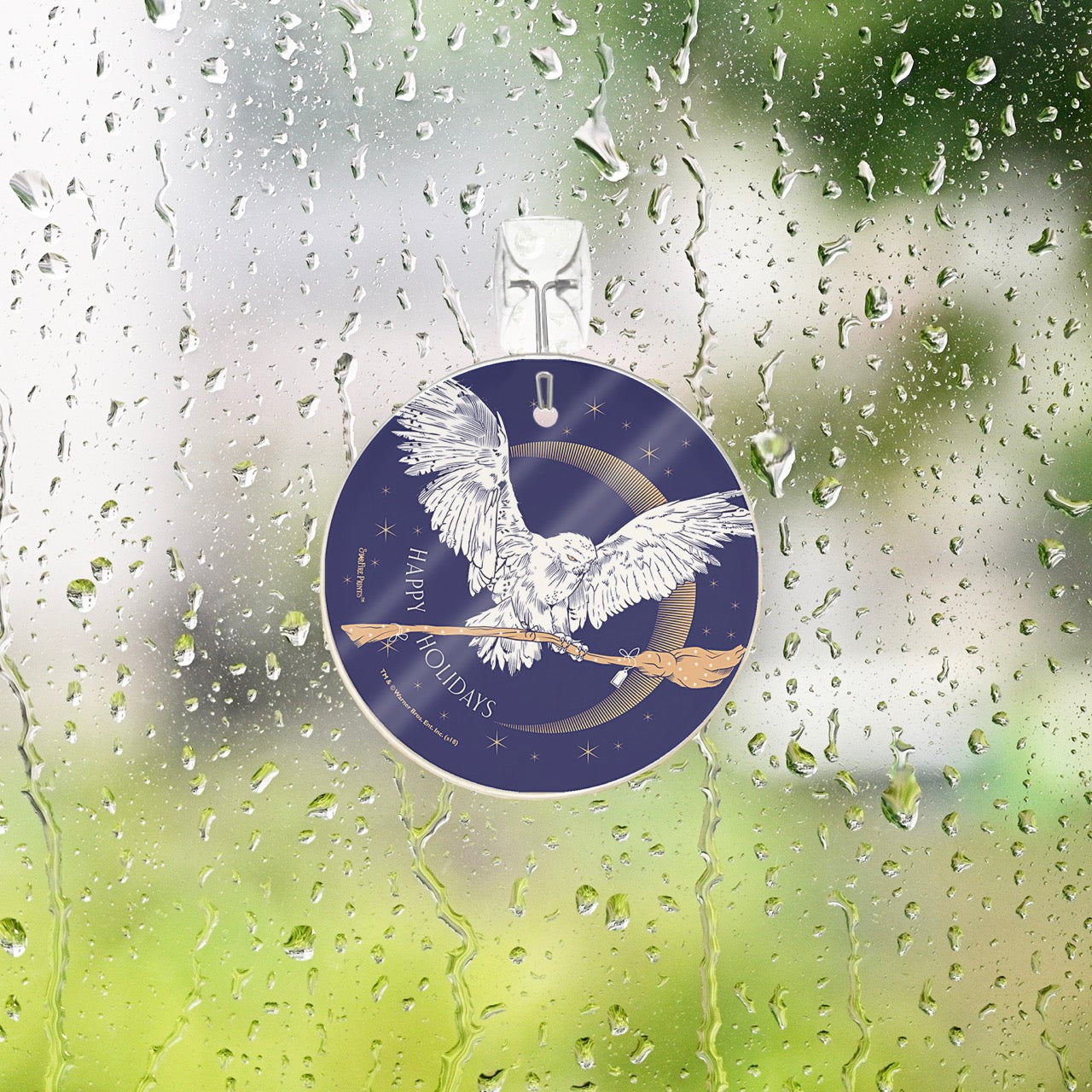 Harry Potter (Hedwig Delivery) StarFire Prints™ Glass Art SPCIR898